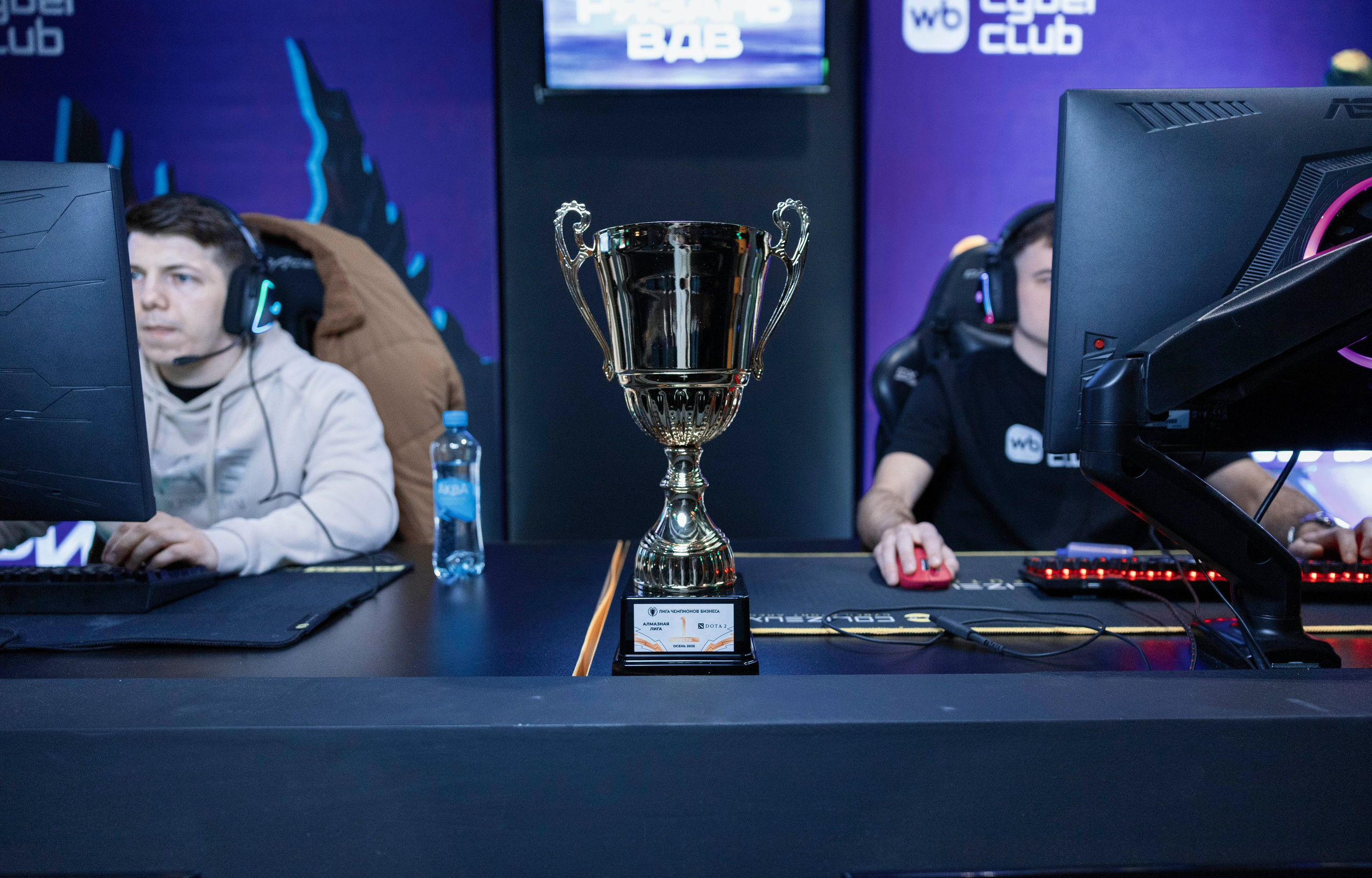 Услуги. Художественный и киберспортивный фотограф Олег Walkcat