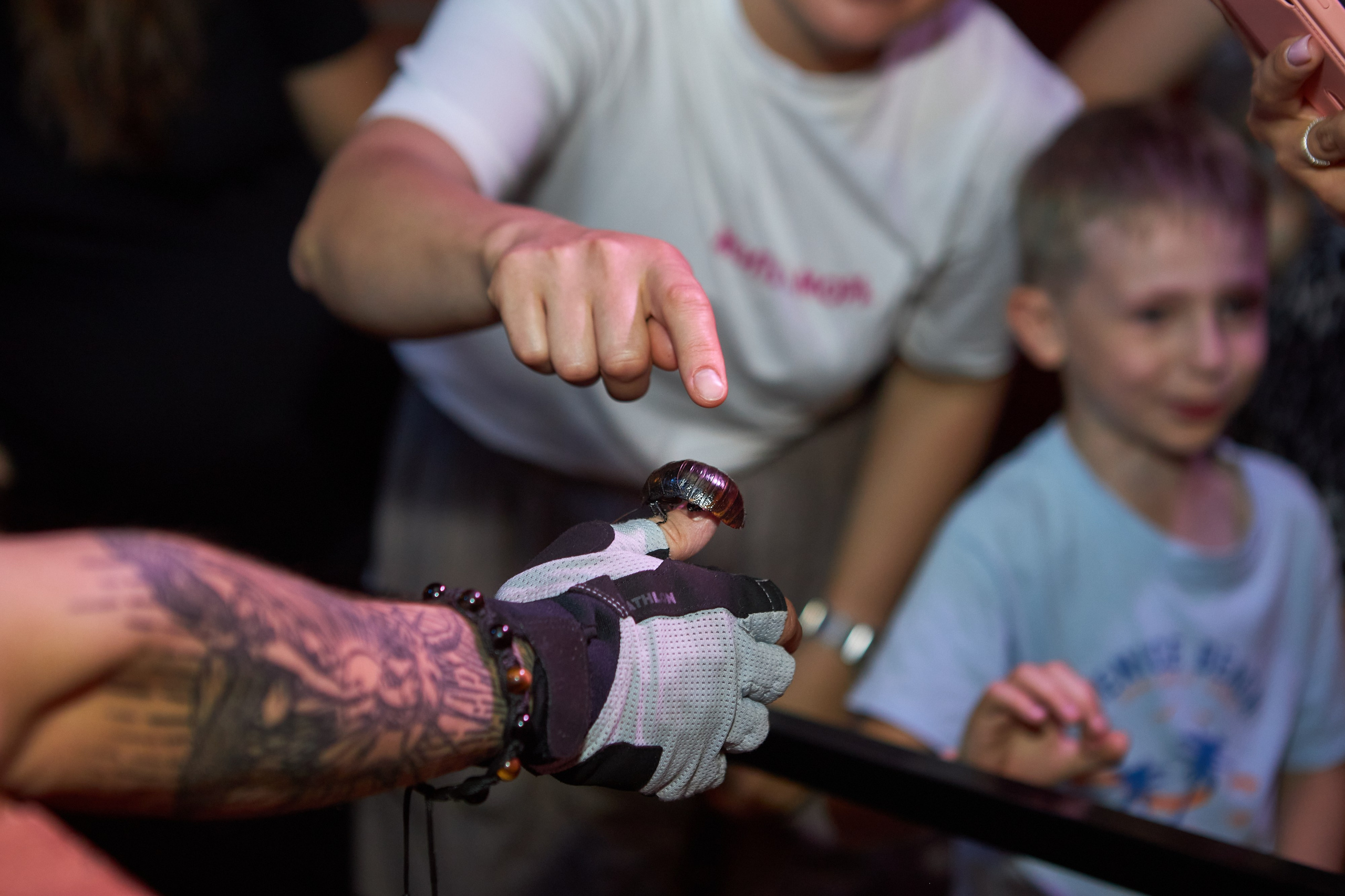 Фотосъемка детского дня Рождения «Сокровища форта»