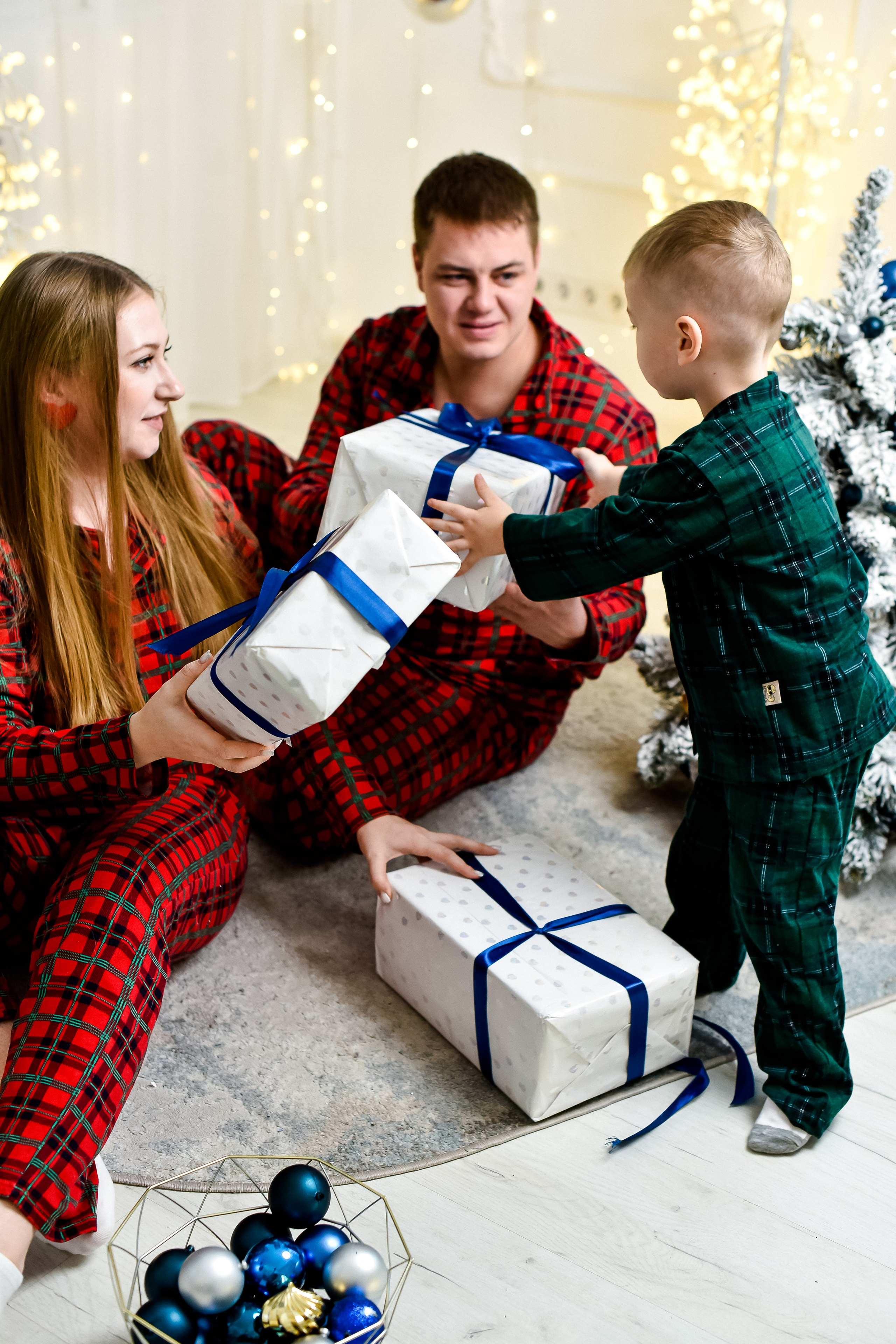 Семья Анны, Сергея и Вовочки