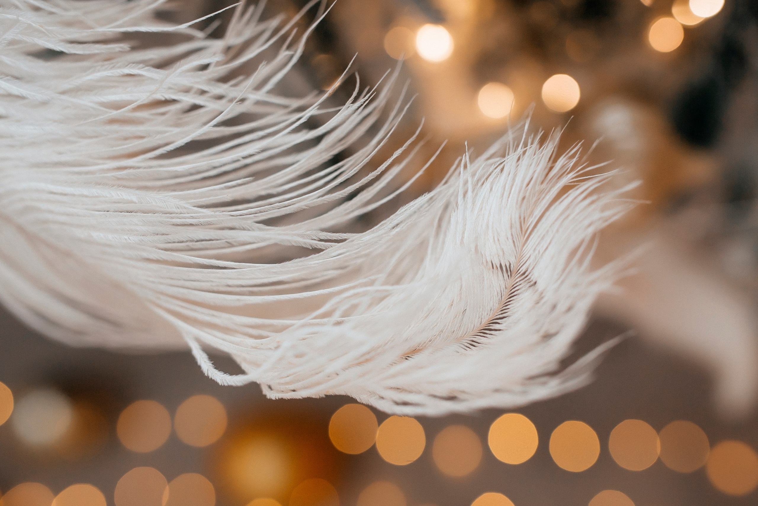 Новогодняя тематика. Команда фотографов Кристины Ивановой