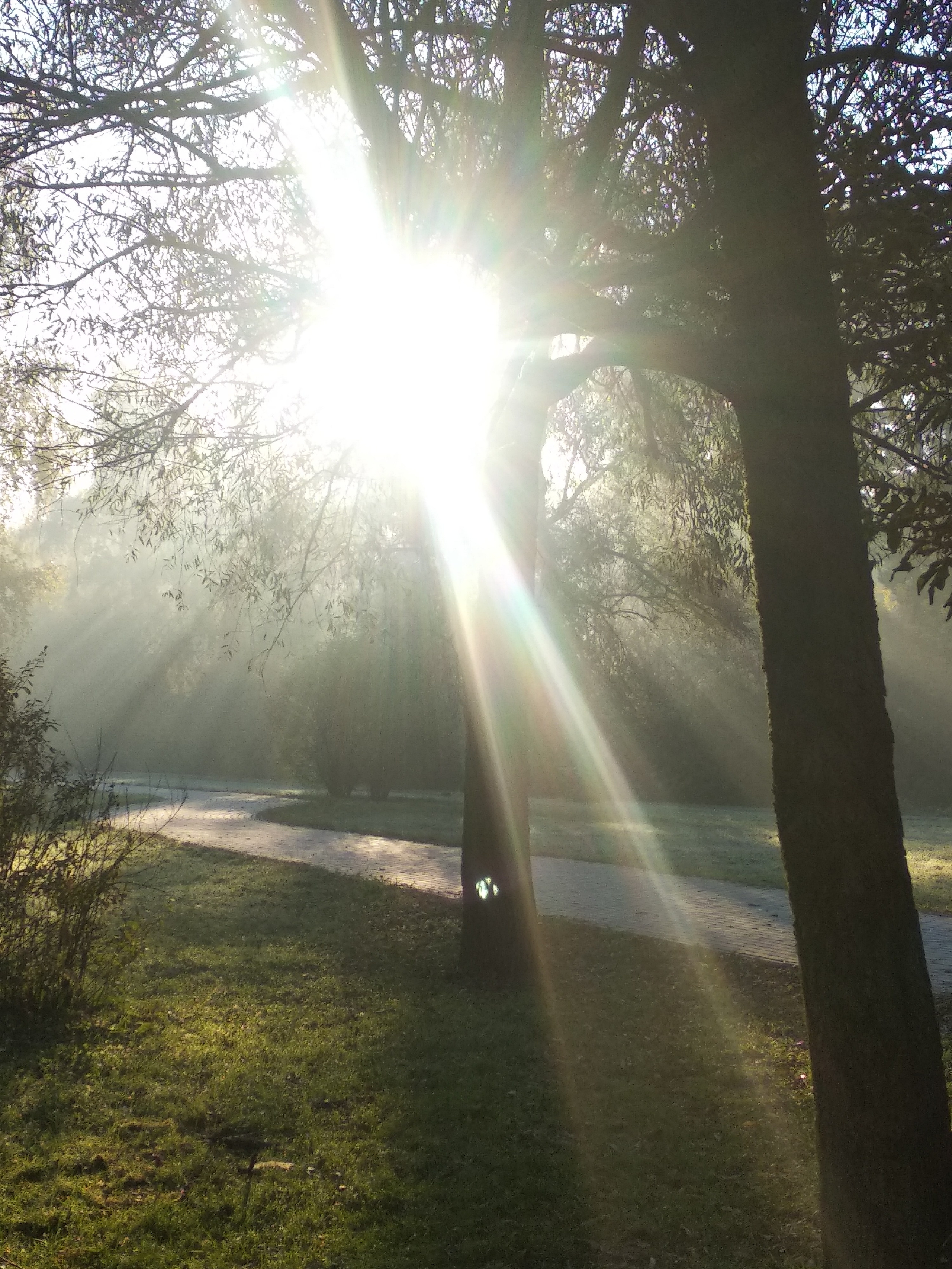 Чудесная природа. Школьные выпускные альбомы в Москве Марина Николаева