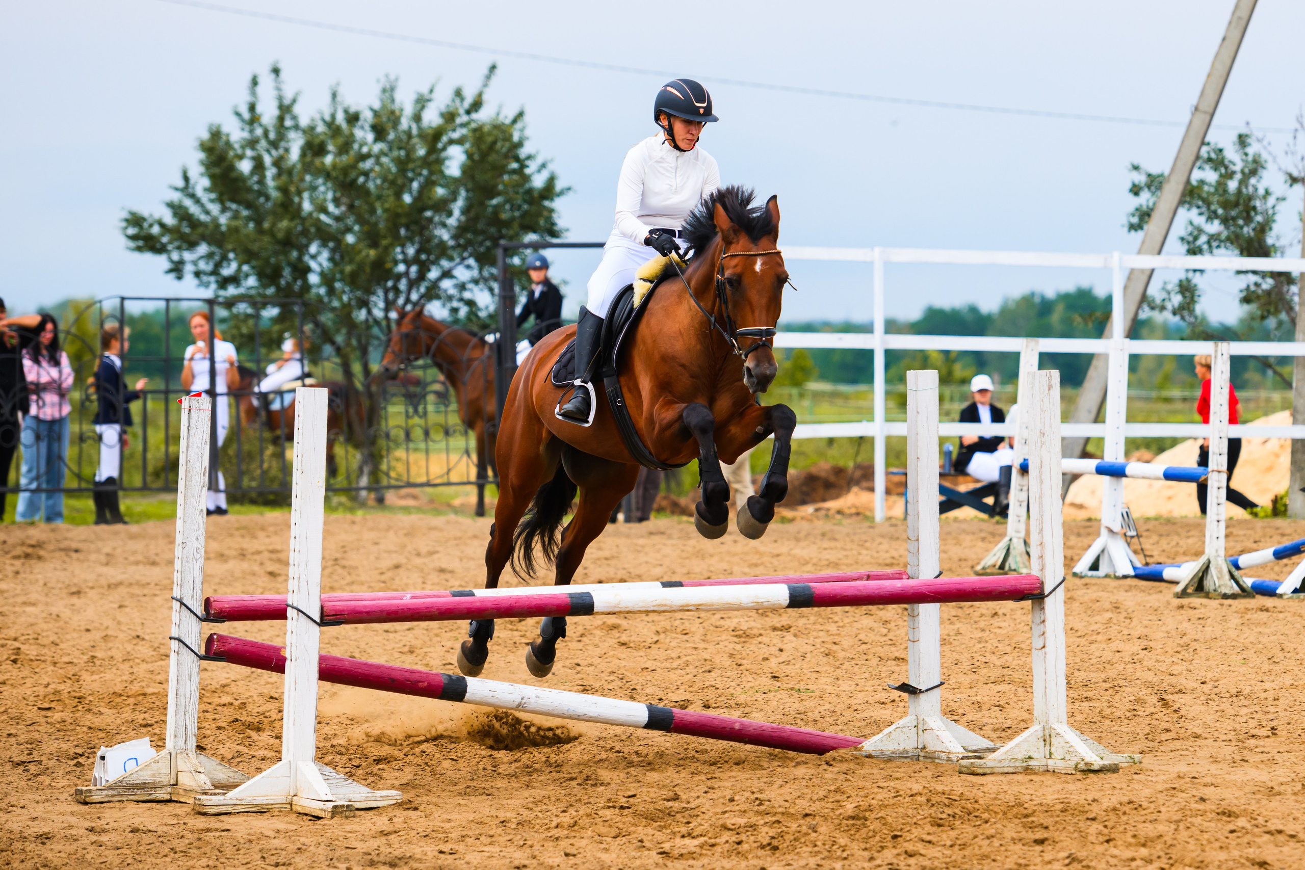 Прочее. Репортажный фотограф Владимир Шкоткин Липецк