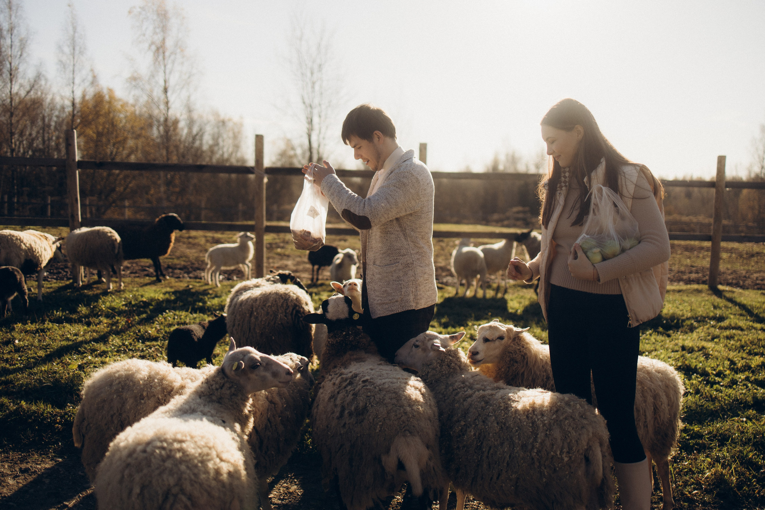 Настя & Аристарх. Ирина Владимирова | Фотограф Санкт-Петербург