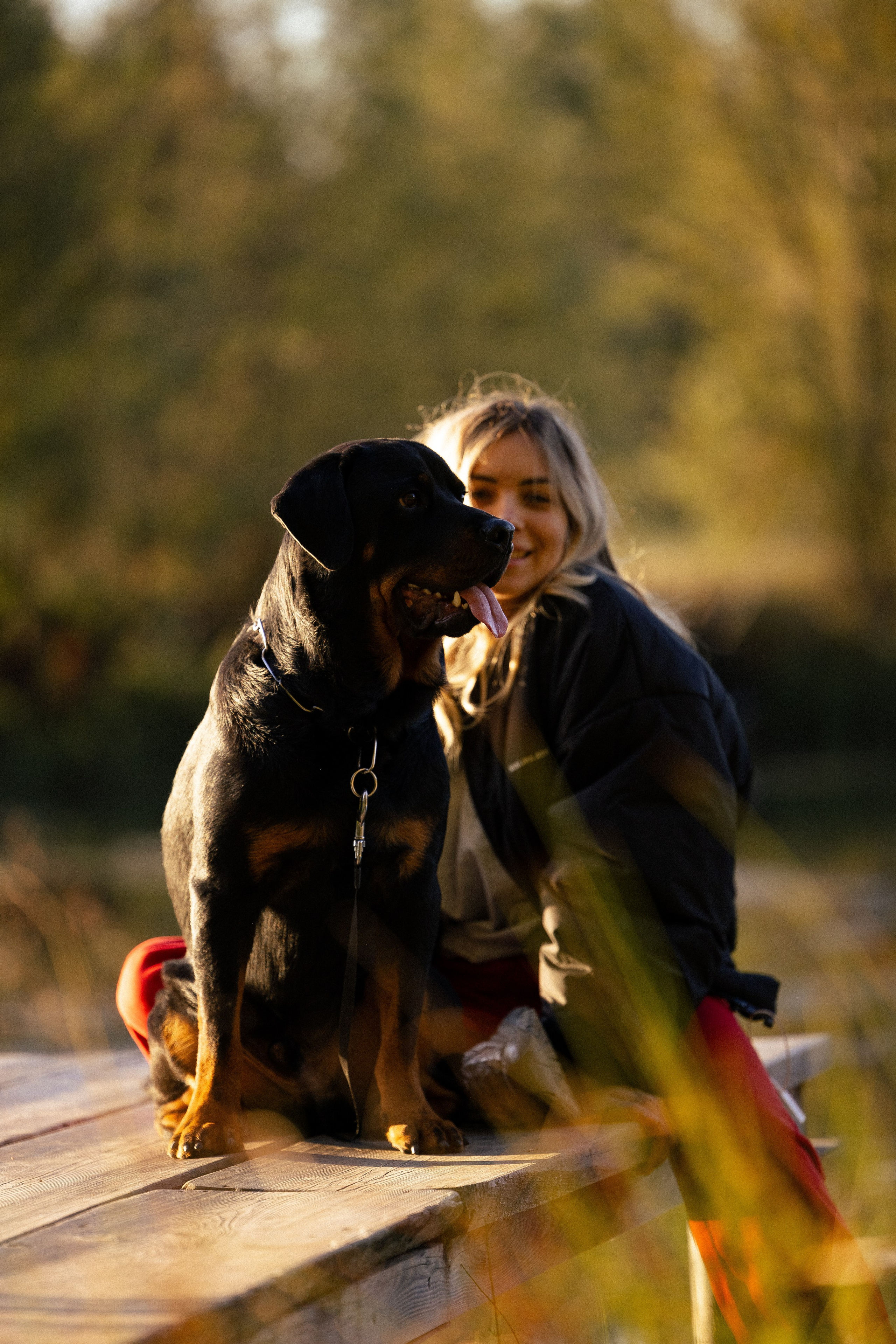 Катя, Леша, Лея и Трой. Фотограф и видеограф анималист Аганина Дарья