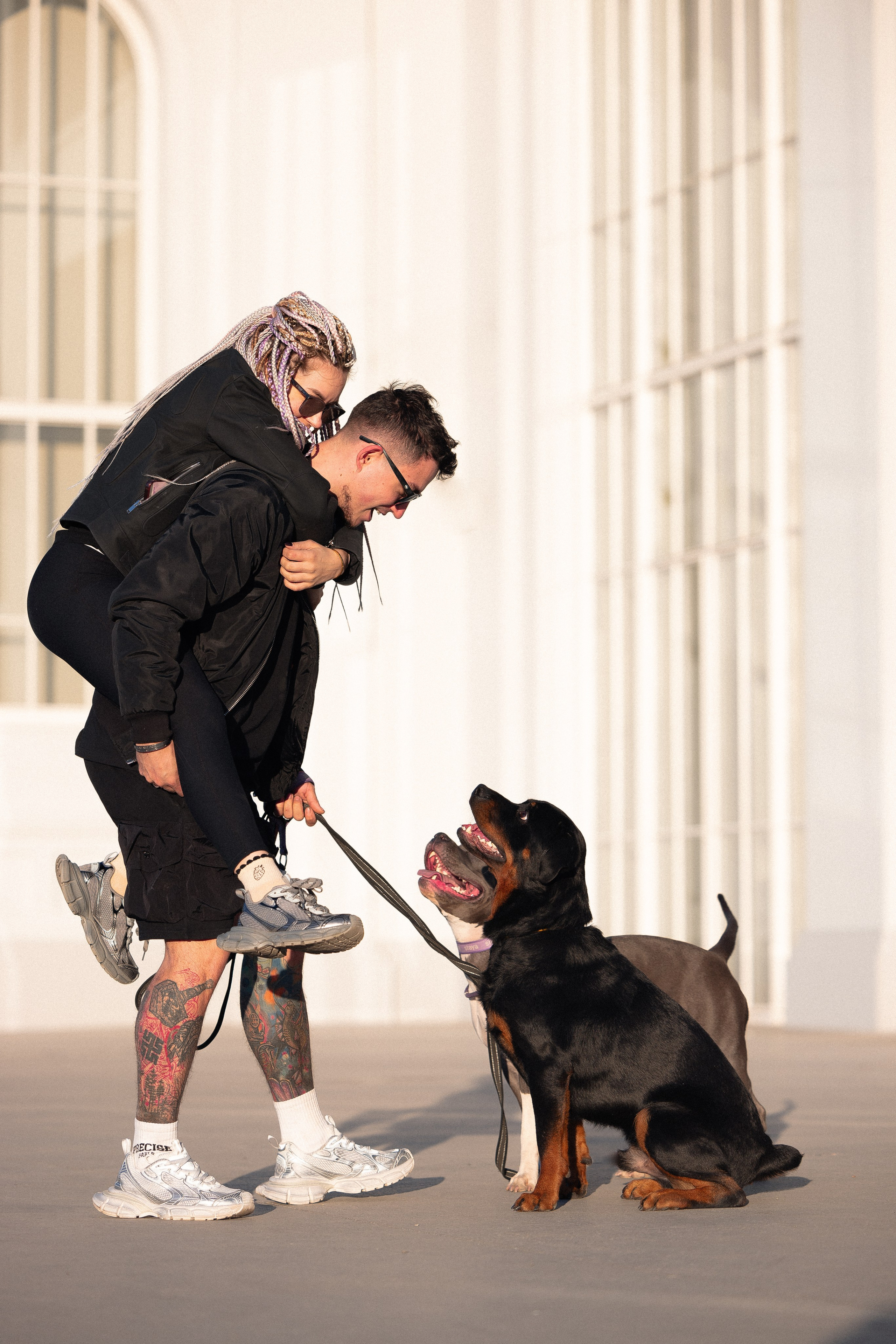 Катя, Леша, Трой и Лея. Фотограф и видеограф анималист Аганина Дарья