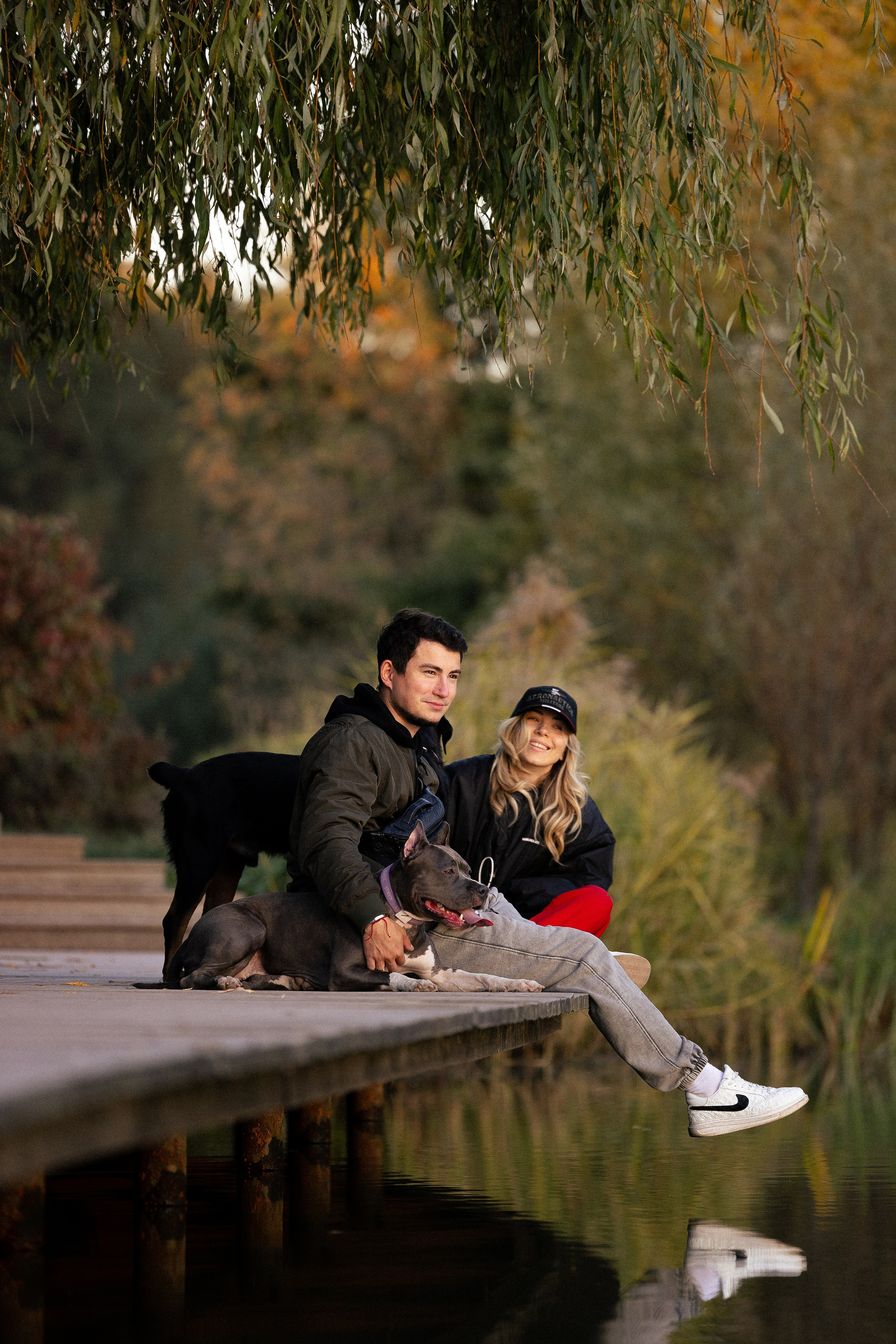 Катя, Леша, Лея и Трой. Фотограф и видеограф анималист Аганина Дарья