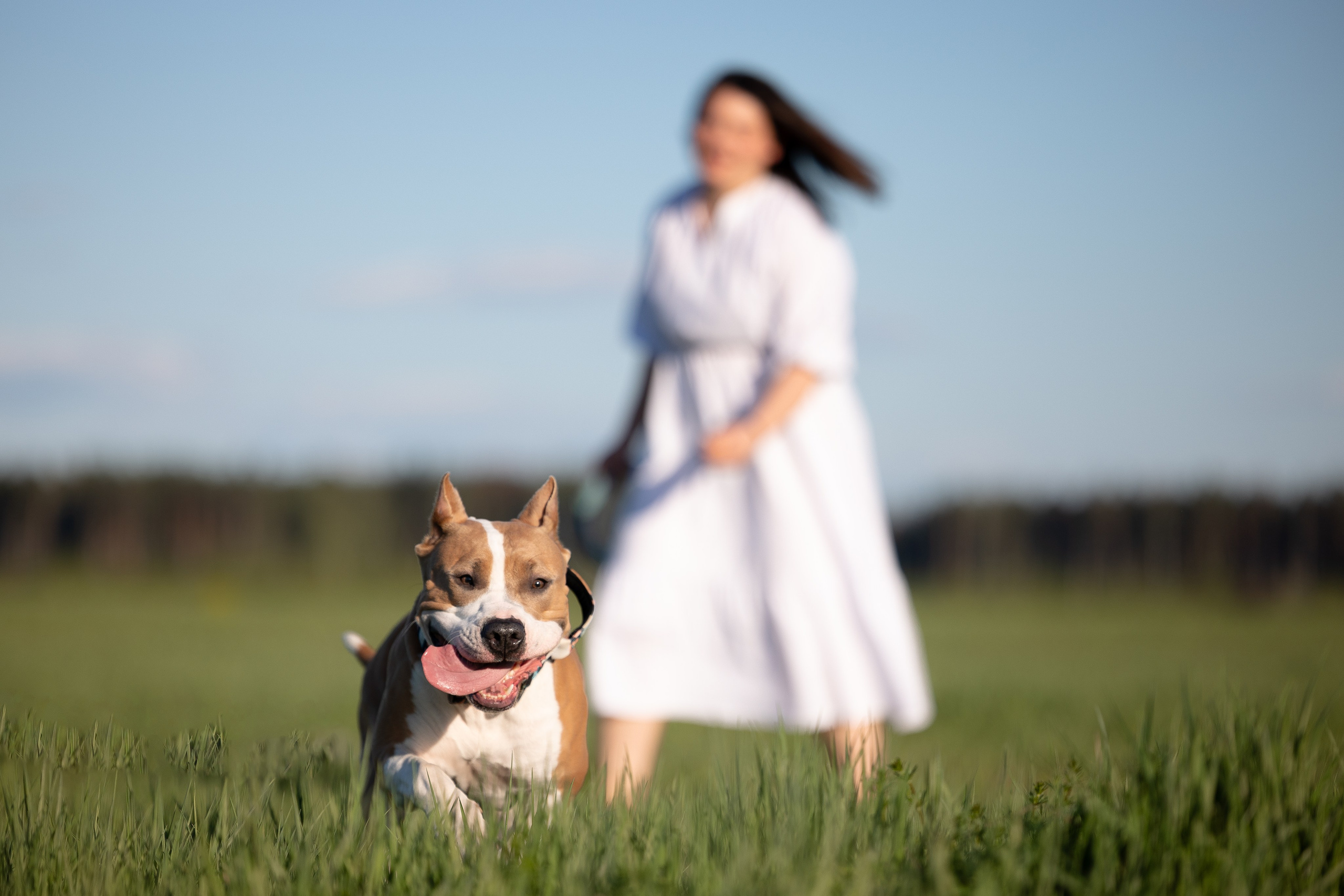 Шуня и ее семья. Фотограф и видеограф анималист Аганина Дарья