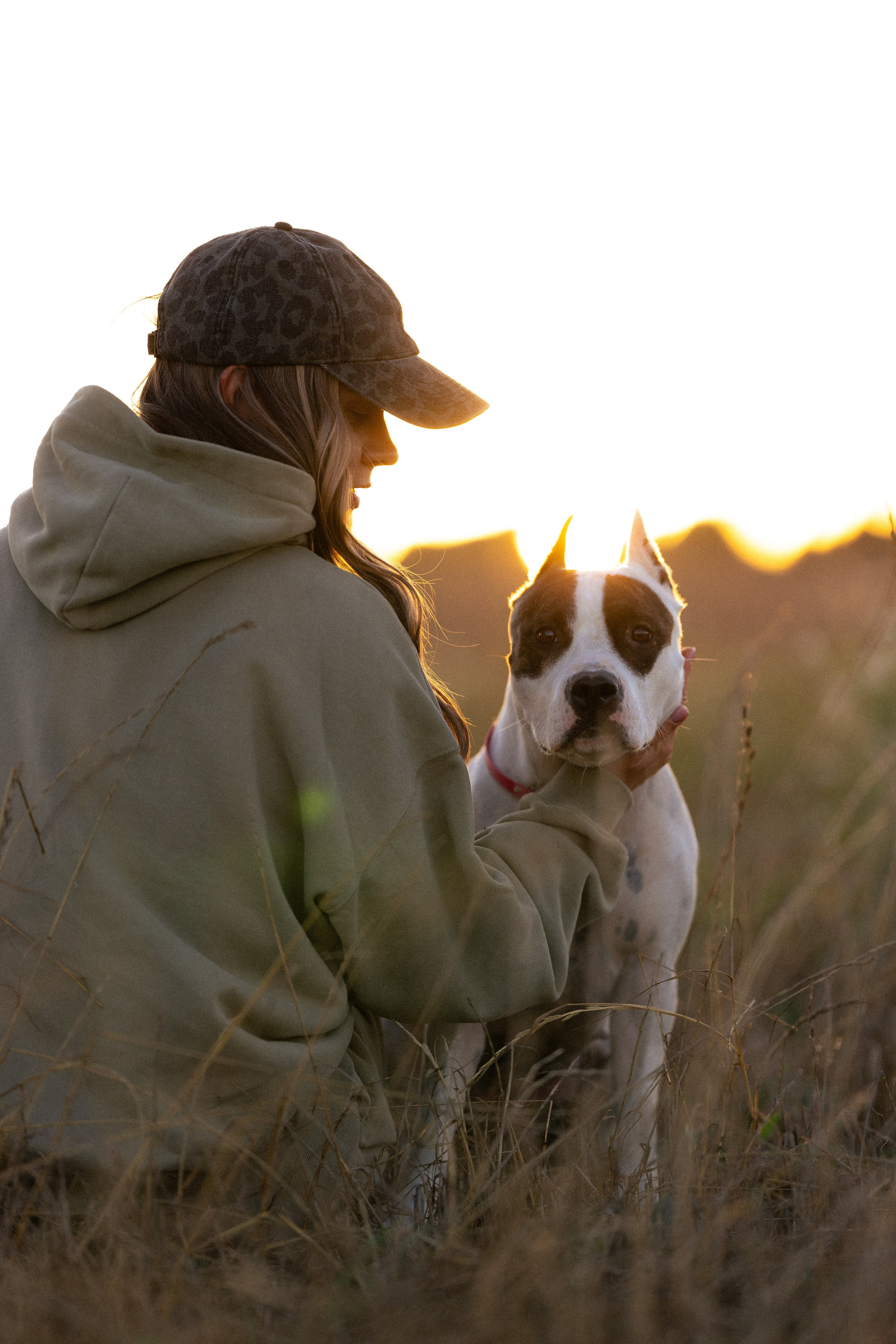Женя, Афра и Молли. Фотограф и видеограф анималист Аганина Дарья