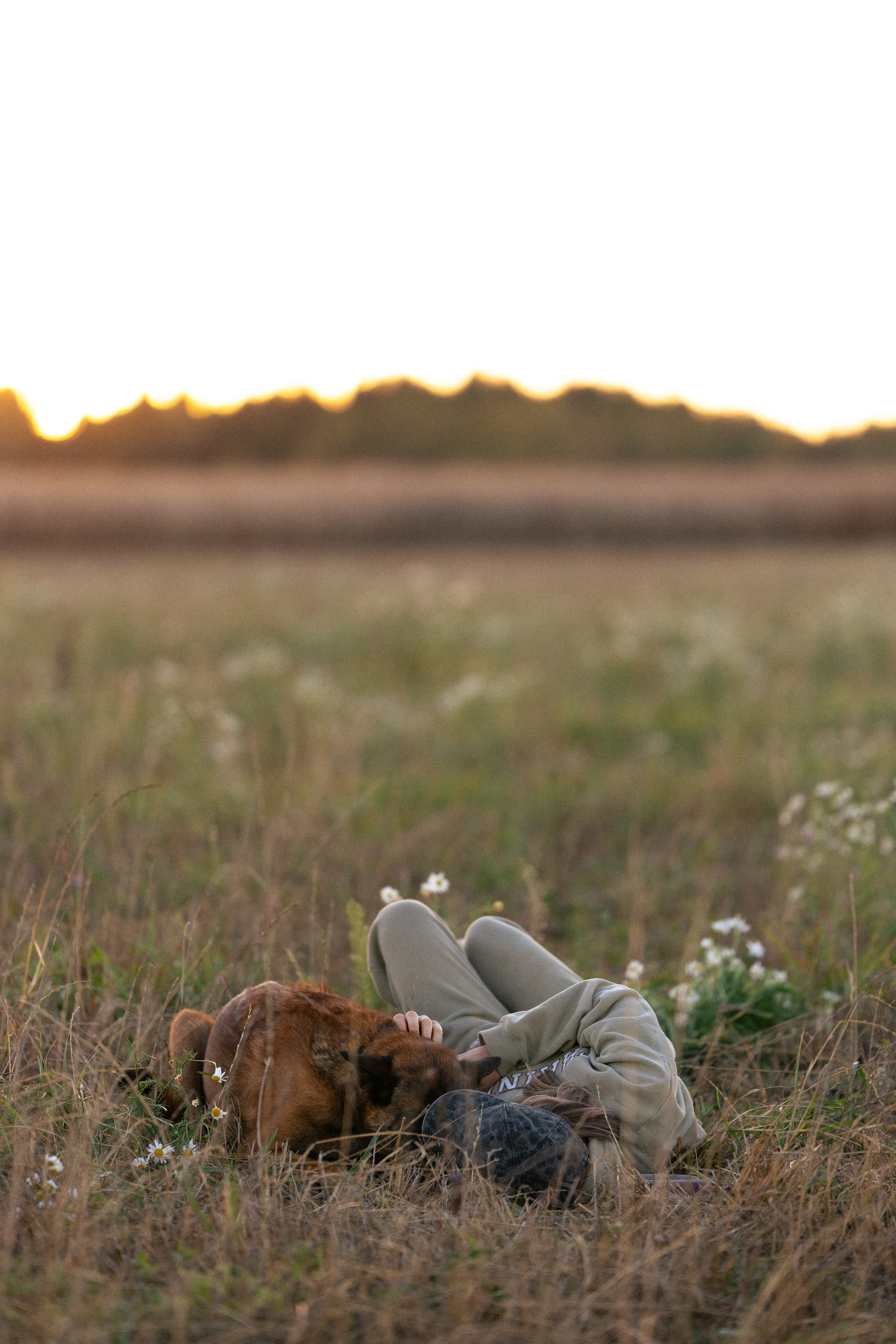 Женя, Афра и Молли. Фотограф и видеограф анималист Аганина Дарья