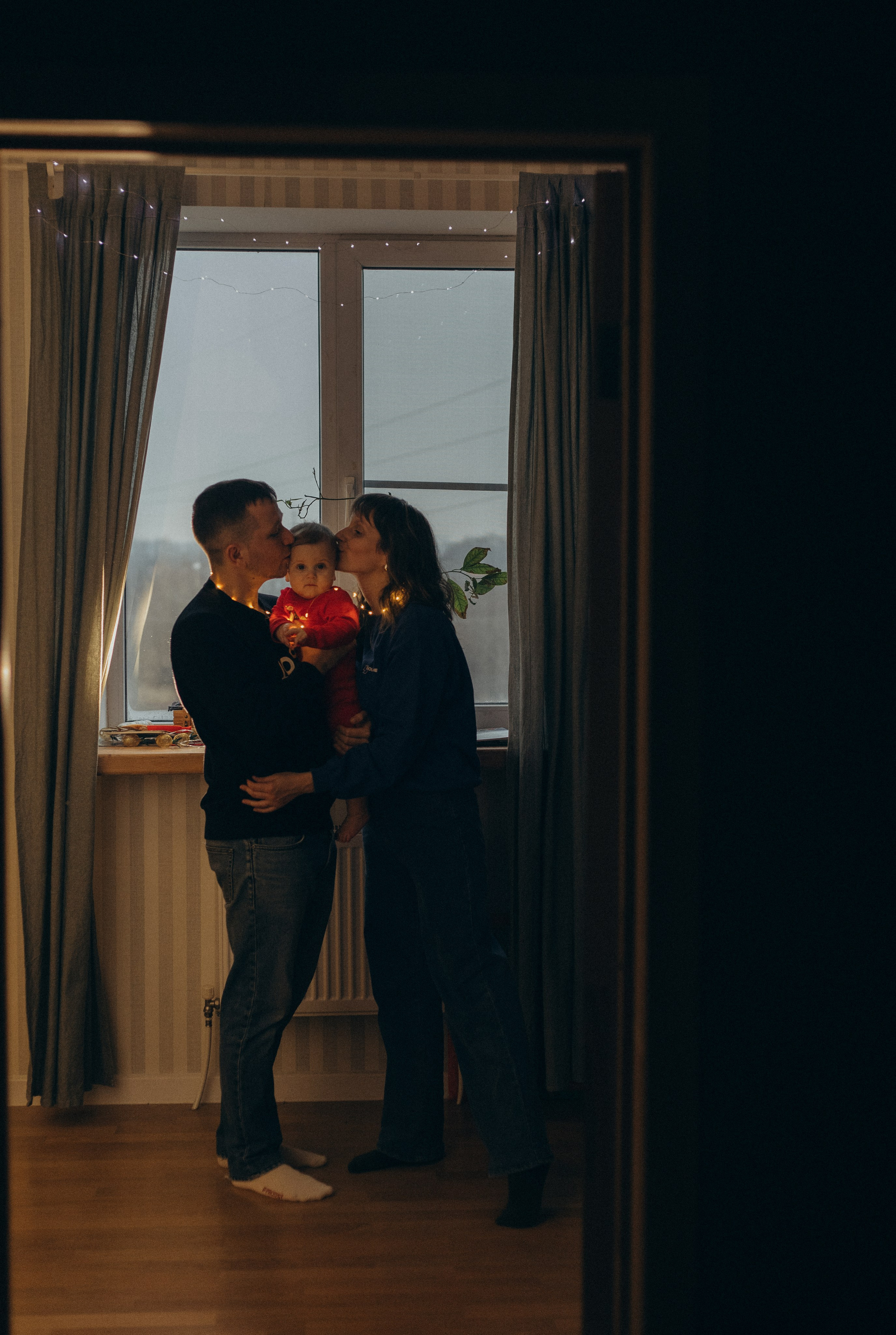 Домашняя история. Meryfotoidea