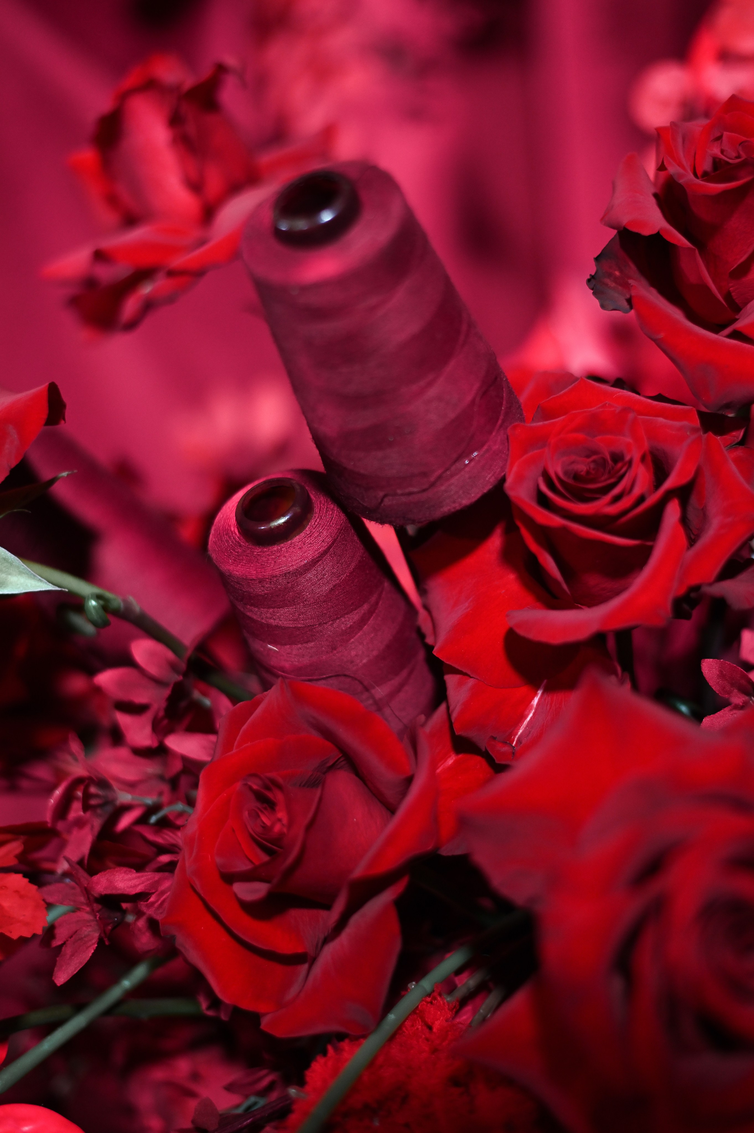 БТК Текстиль 10 лет. Event-агентство «Бутик Событий» Евгении Гарновской