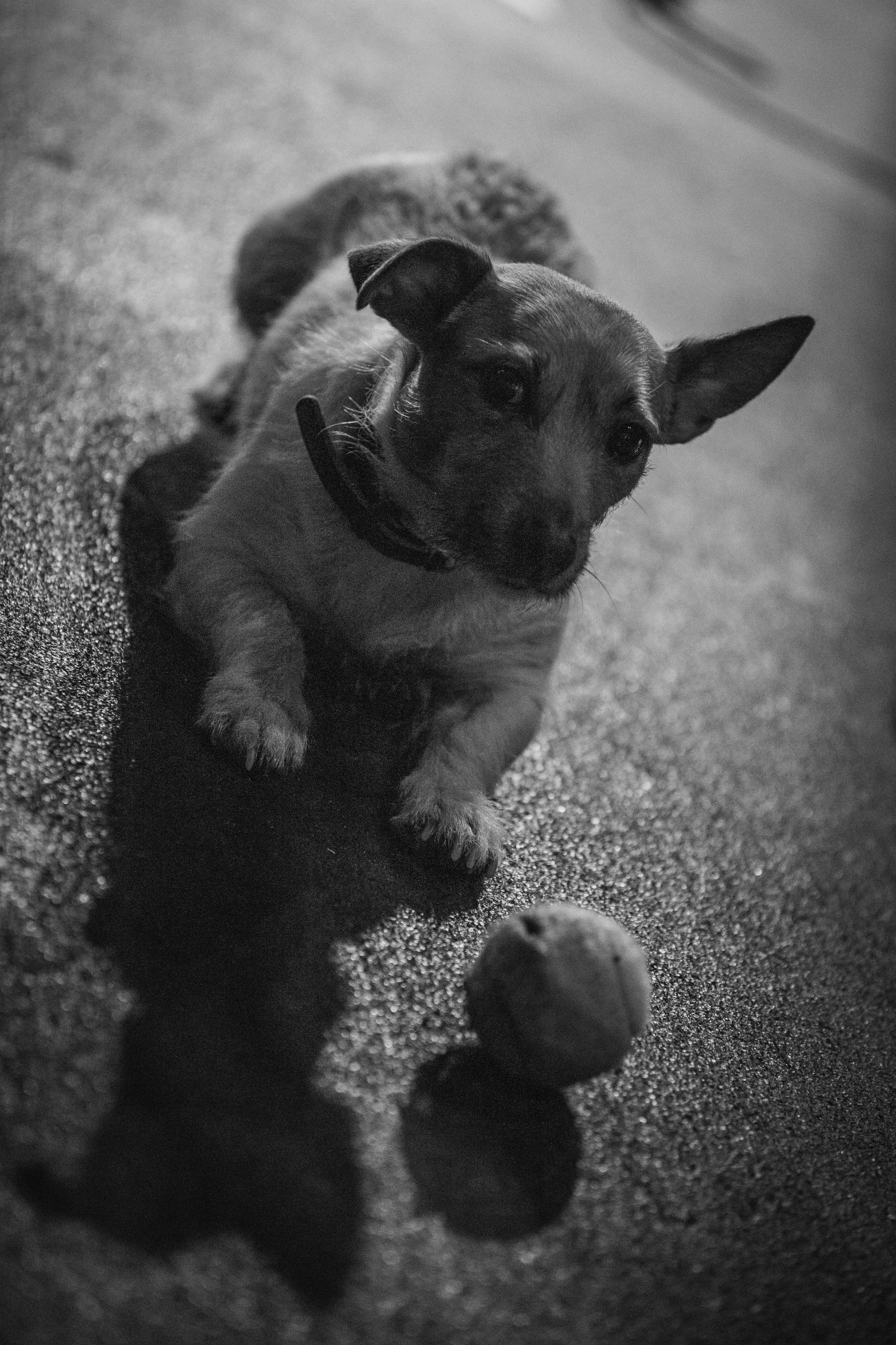 Фотосъемка бэкстейджа в кино, театре, цирке. Репортажный и портретный фотограф в Санкт-Петербурге Кристина Рягузова