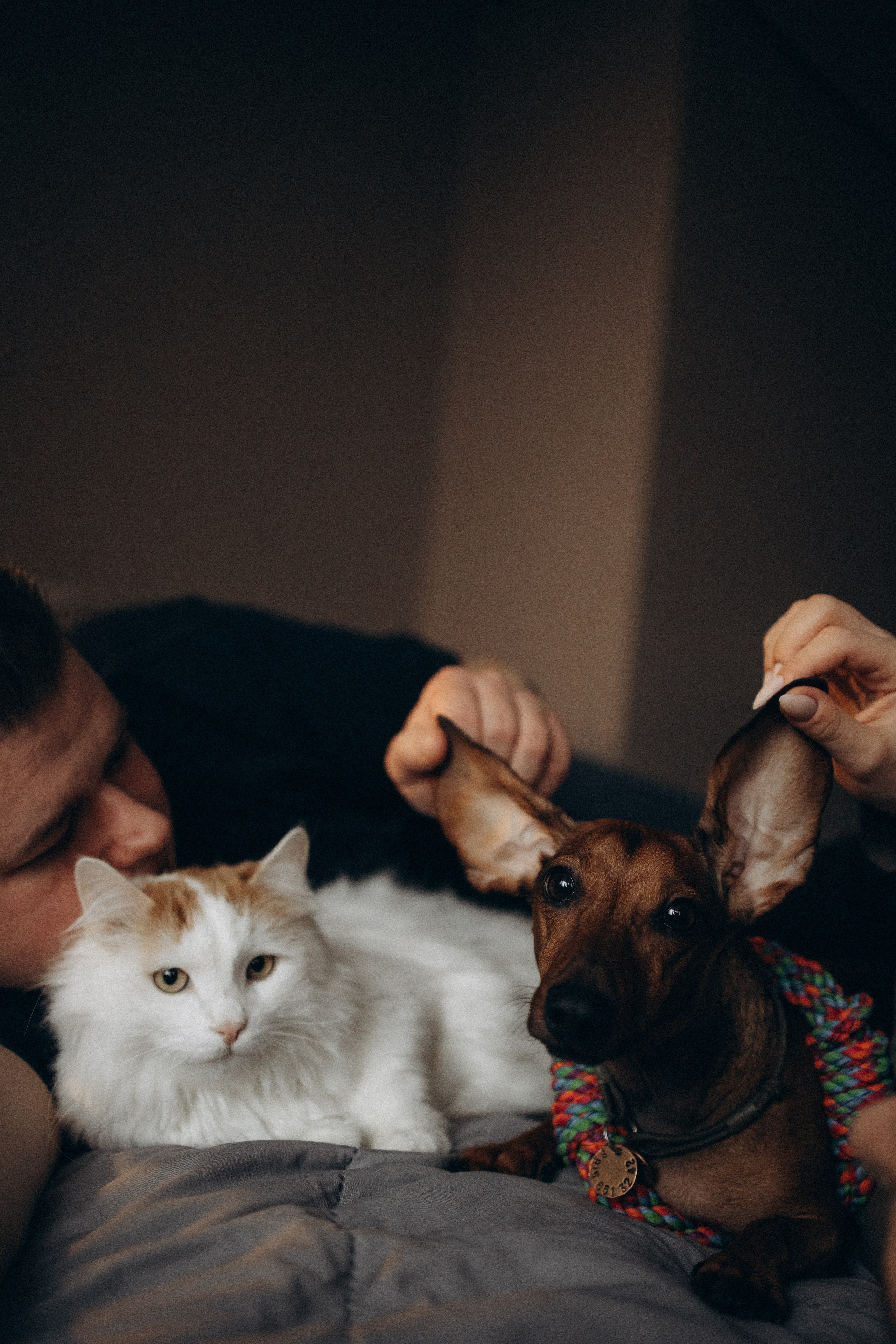 Маша и ее семья. Фотораф — анималист Мария Шистка