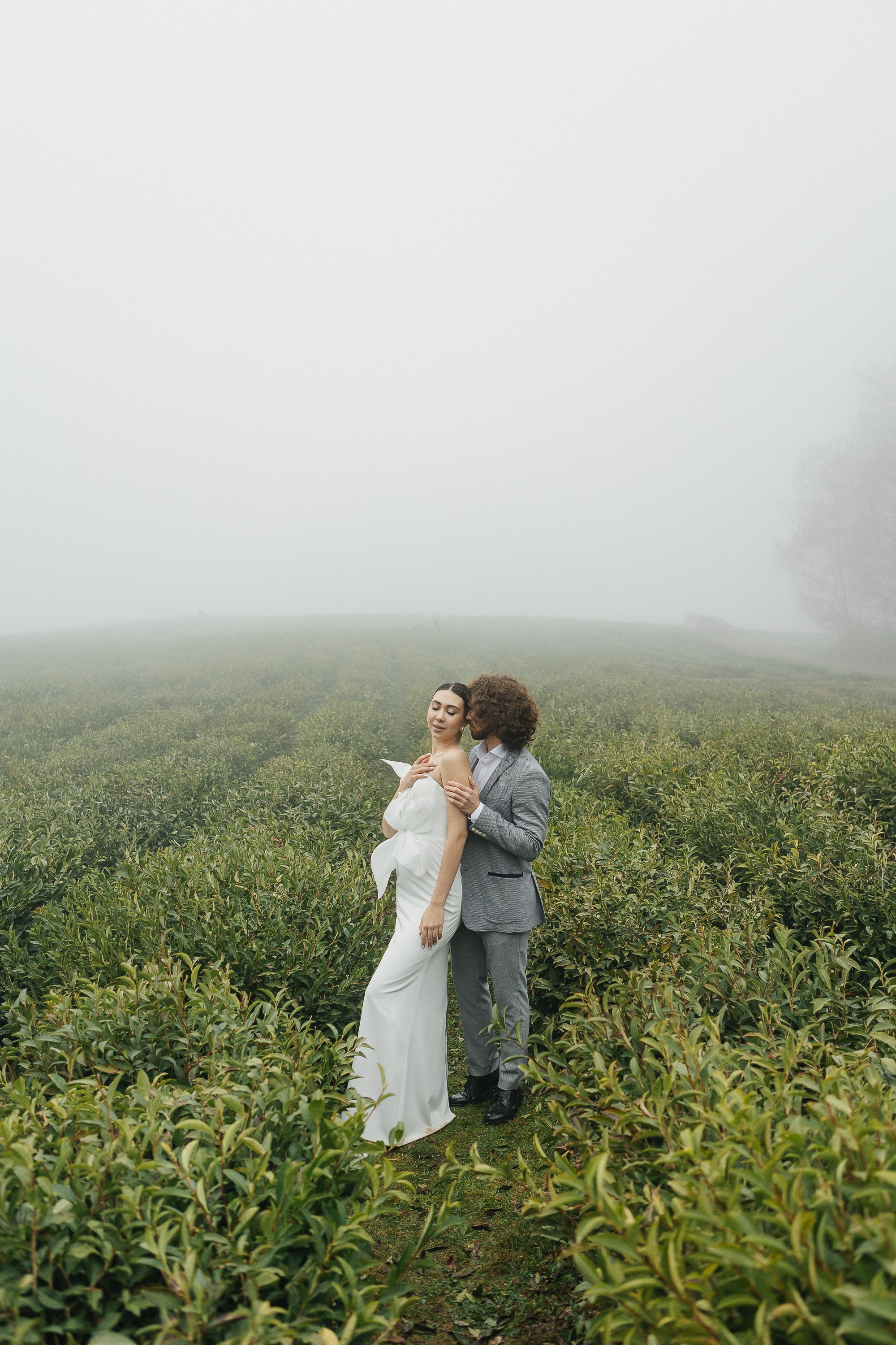 Сочи. Чайная плантация. Фотограф Москва, Балашиха, МО. Свадьбы, репортажи, контент, портреты