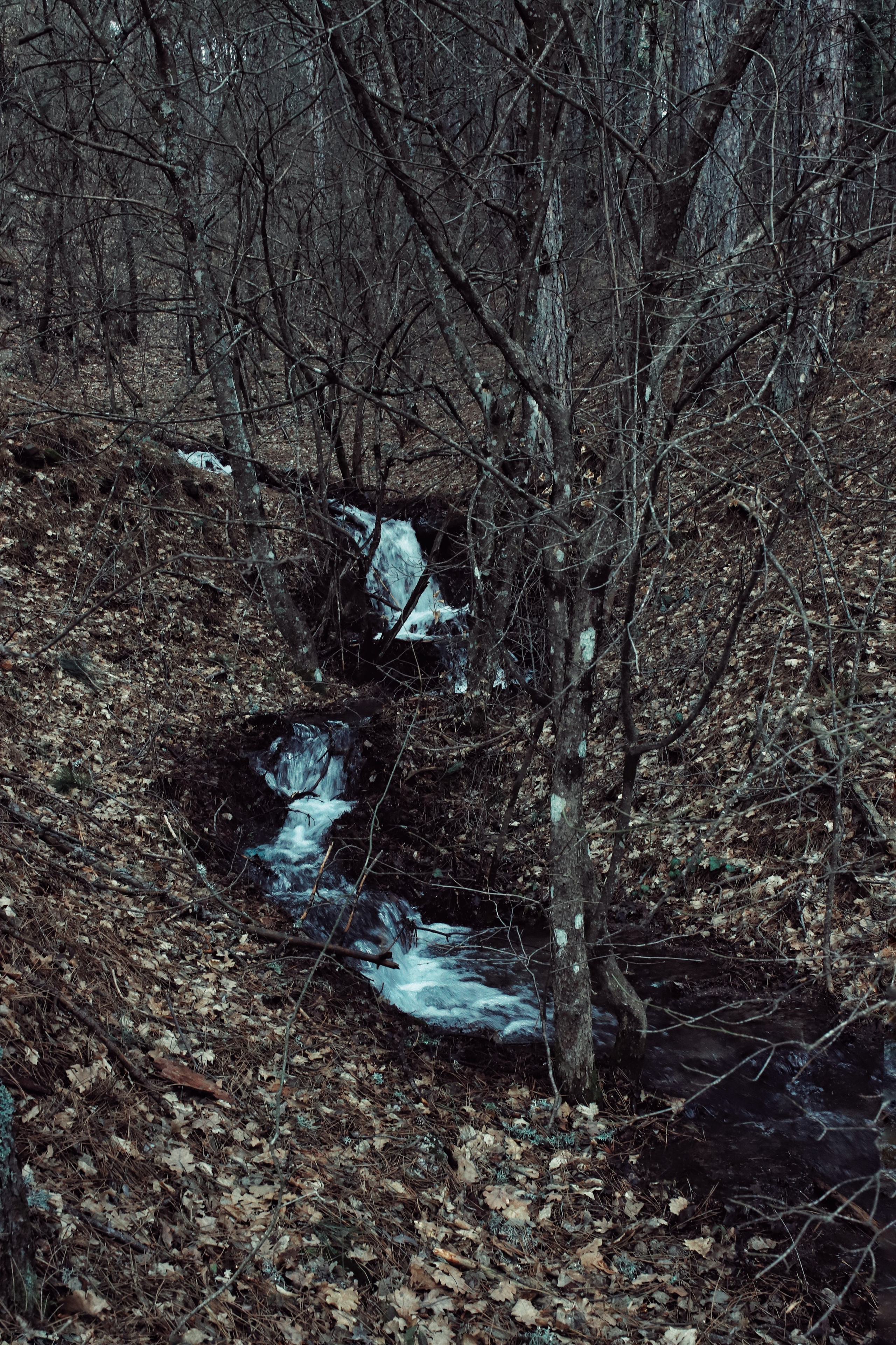 Бирюзовое озеро. Фотограф и видеограф в Санкт-Петербурге