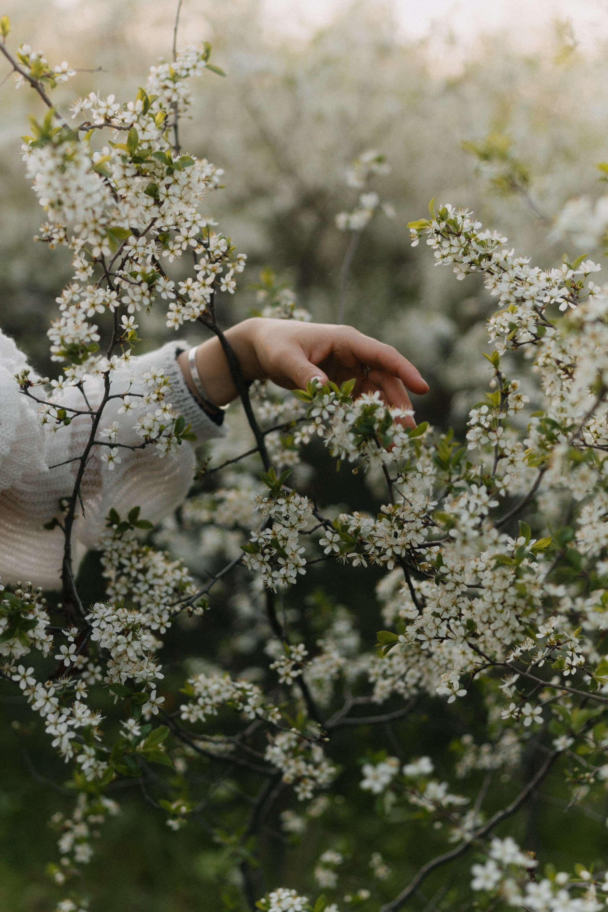 Каролина. Ланемец Юлия — фотограф Волгоград/Волжский