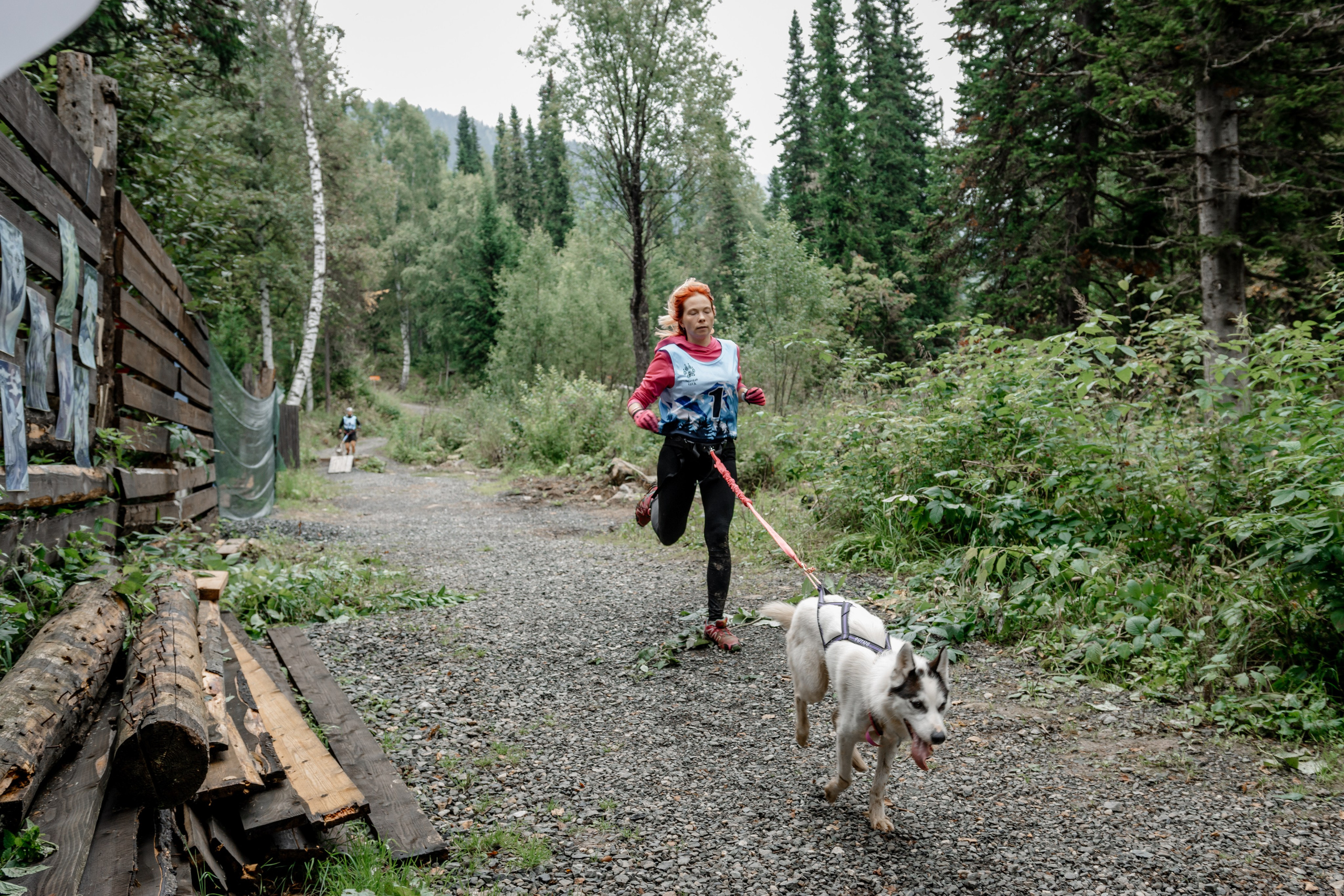 Дог-треккинг