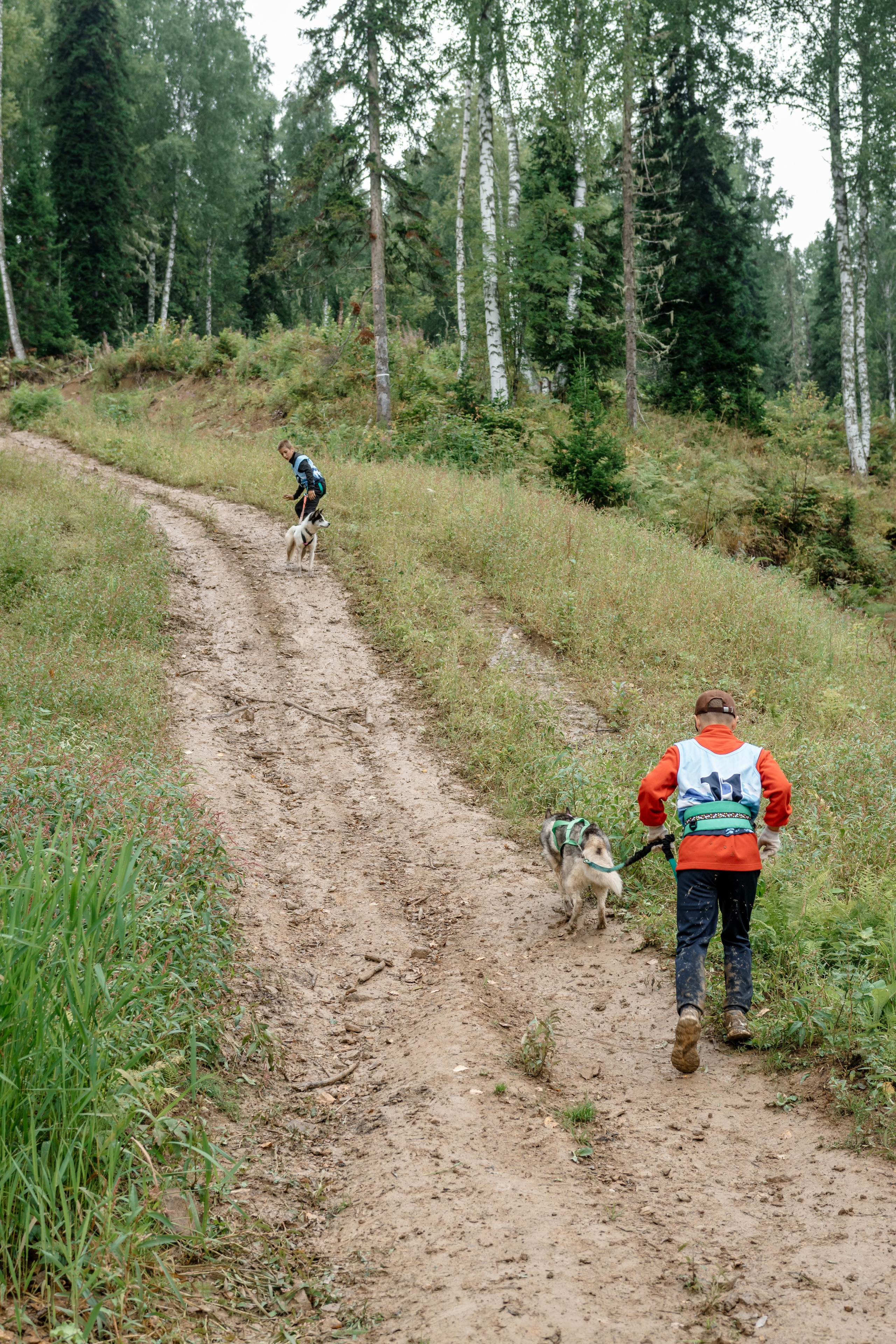Дог-треккинг