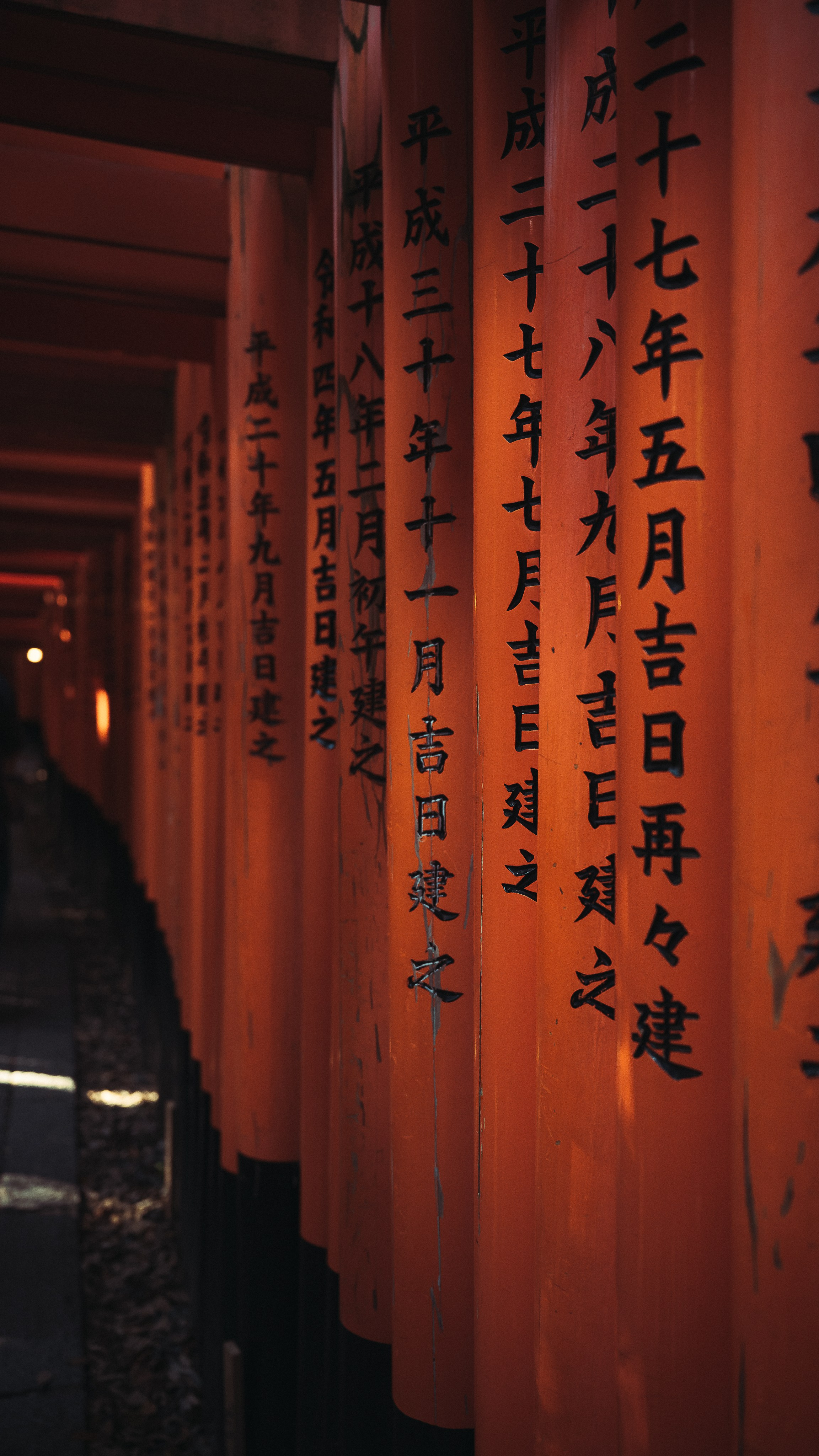 Пейзажи. Плеханов Вадим фотограф Санкт-Петербург, концерты, корпоративы, спорт