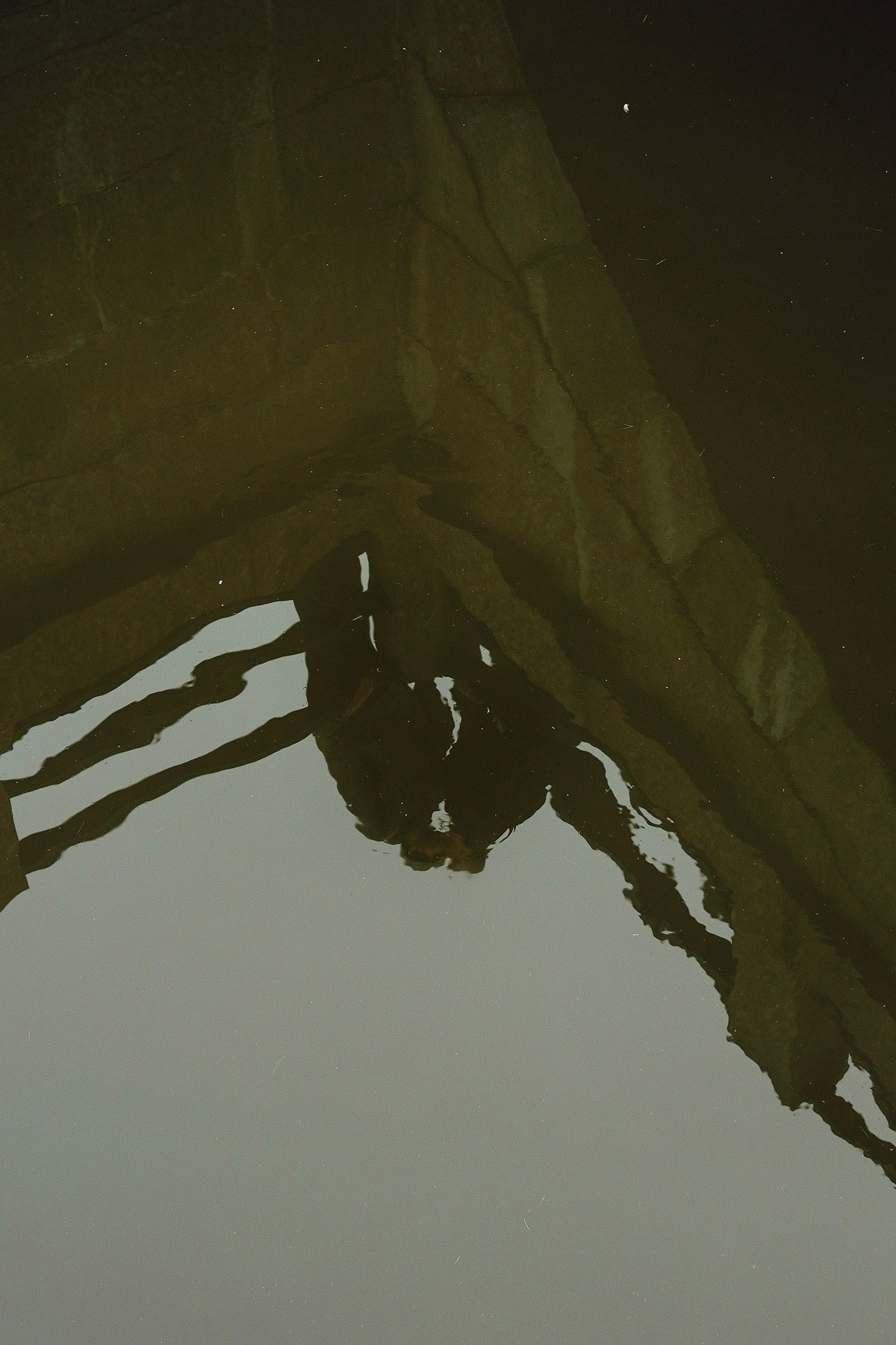 Влад и Настя. Ксения Копна. Фотограф из Санкт-Петербурга