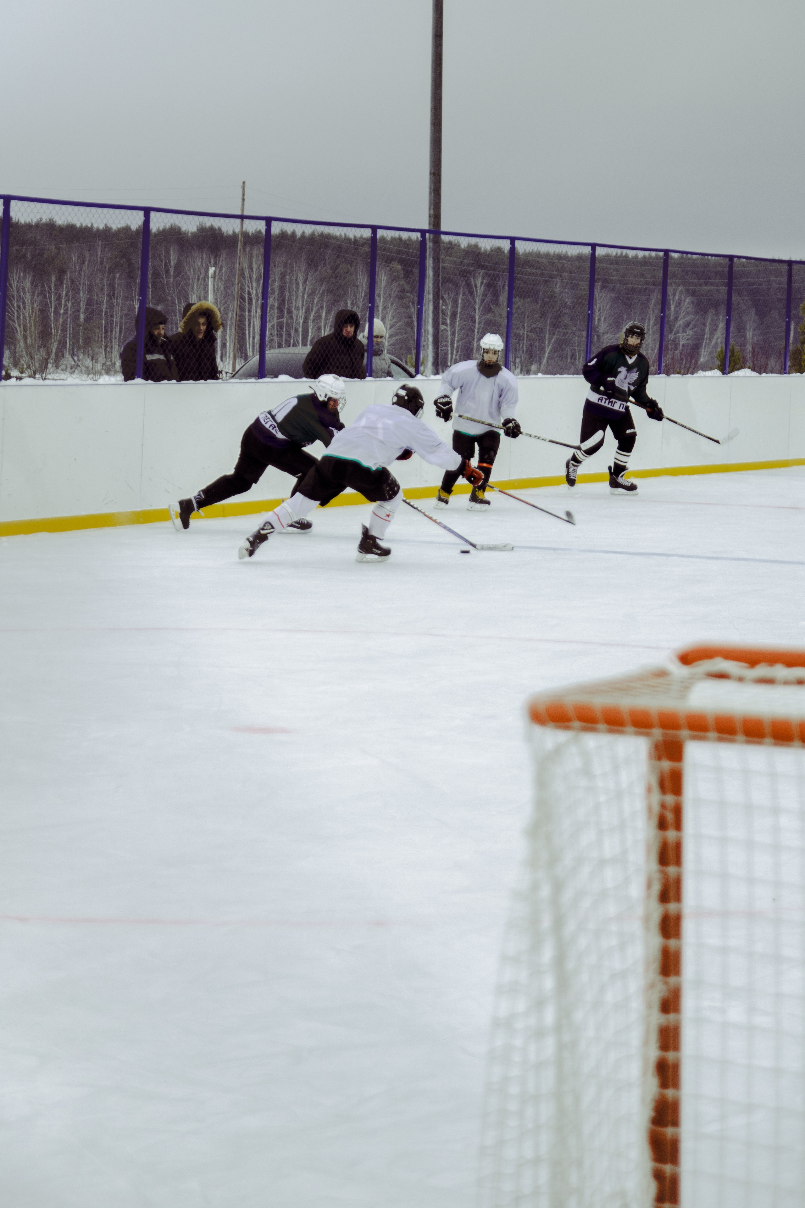 Хоккей 29.12.2024