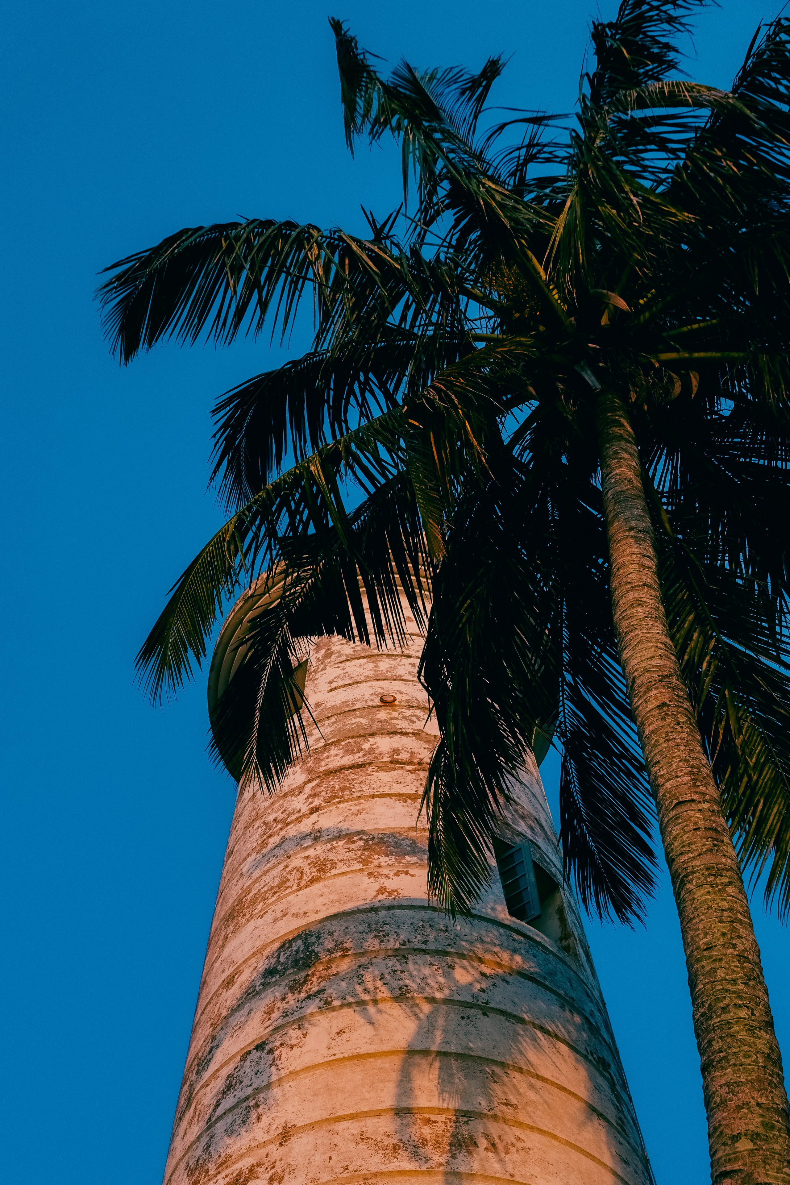 Шри-Ланка. Фотограф Алиса Аспер