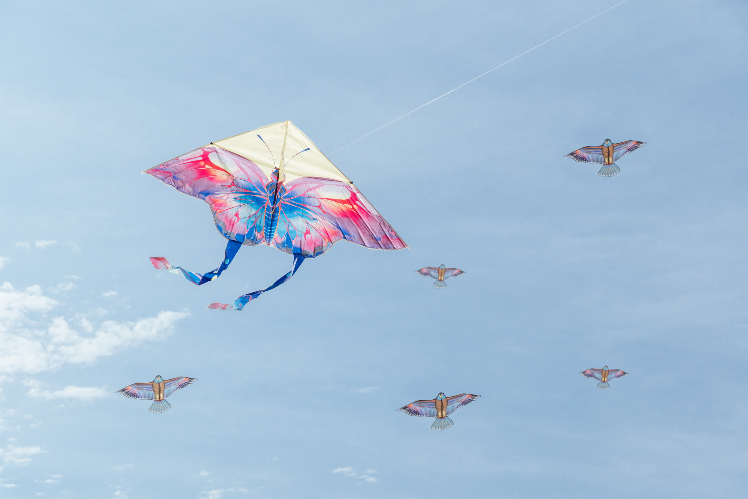 WIND OF CULTURE DUBAI. Фото | Видео Контент Мишель Ватаманюк