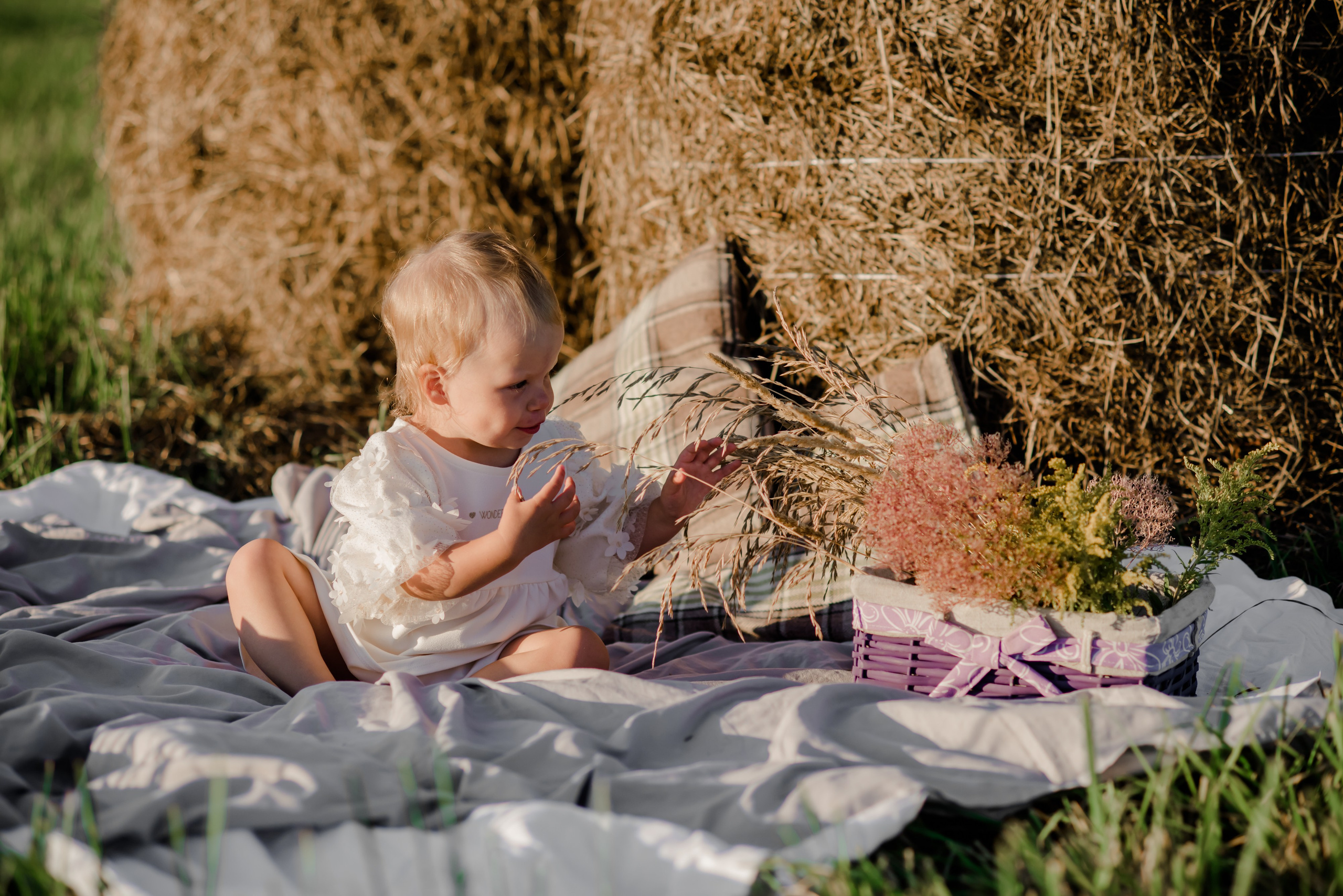Семья в поле. Свадебный и семейный фотограф Евгения Кононова