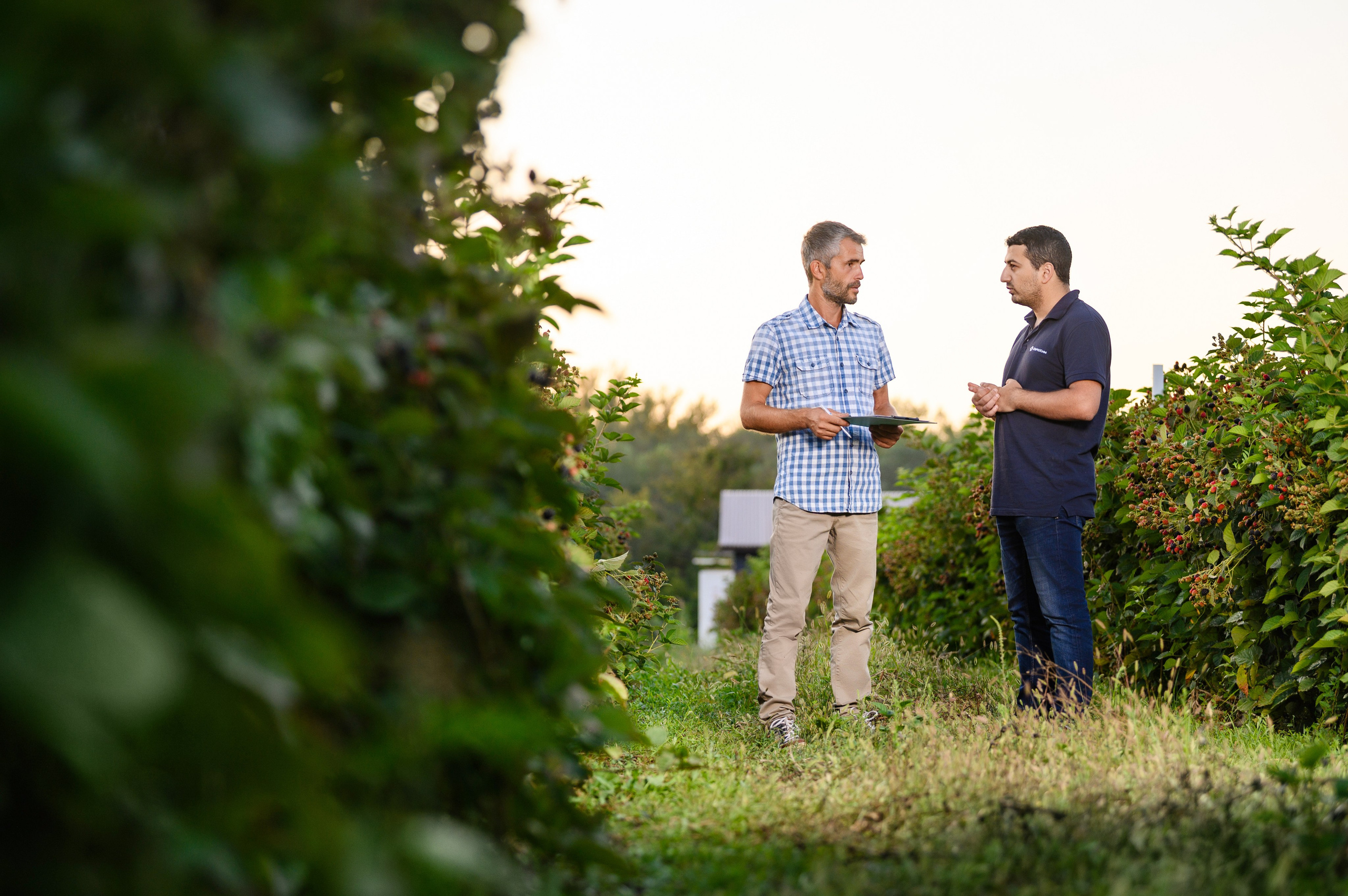Проекты. Профессиональный фотограф Вячеслав Плацында | Липецк |