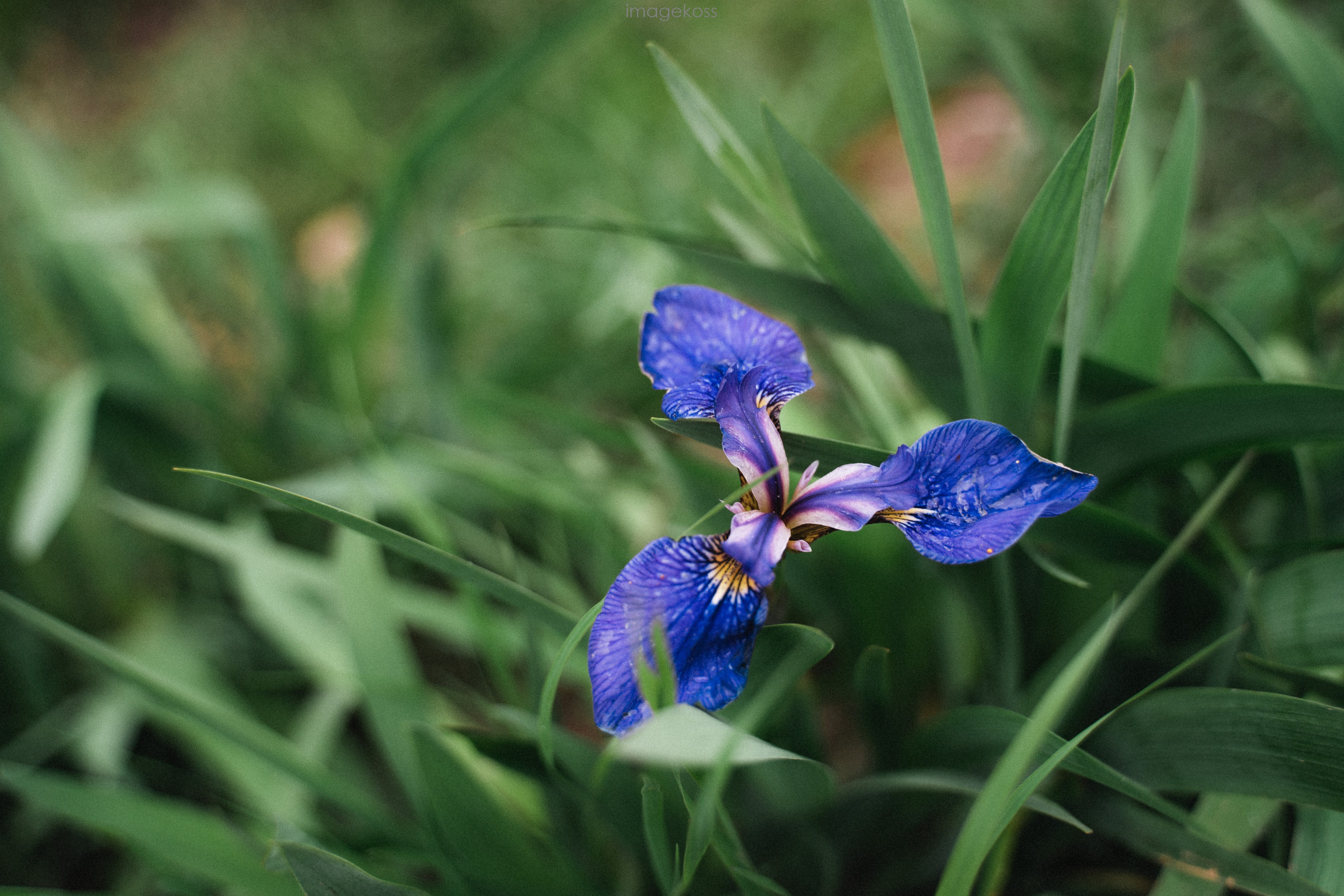 Камчатка. Фотограф в поход и восхождение на Эльбрус Игорь Косарев