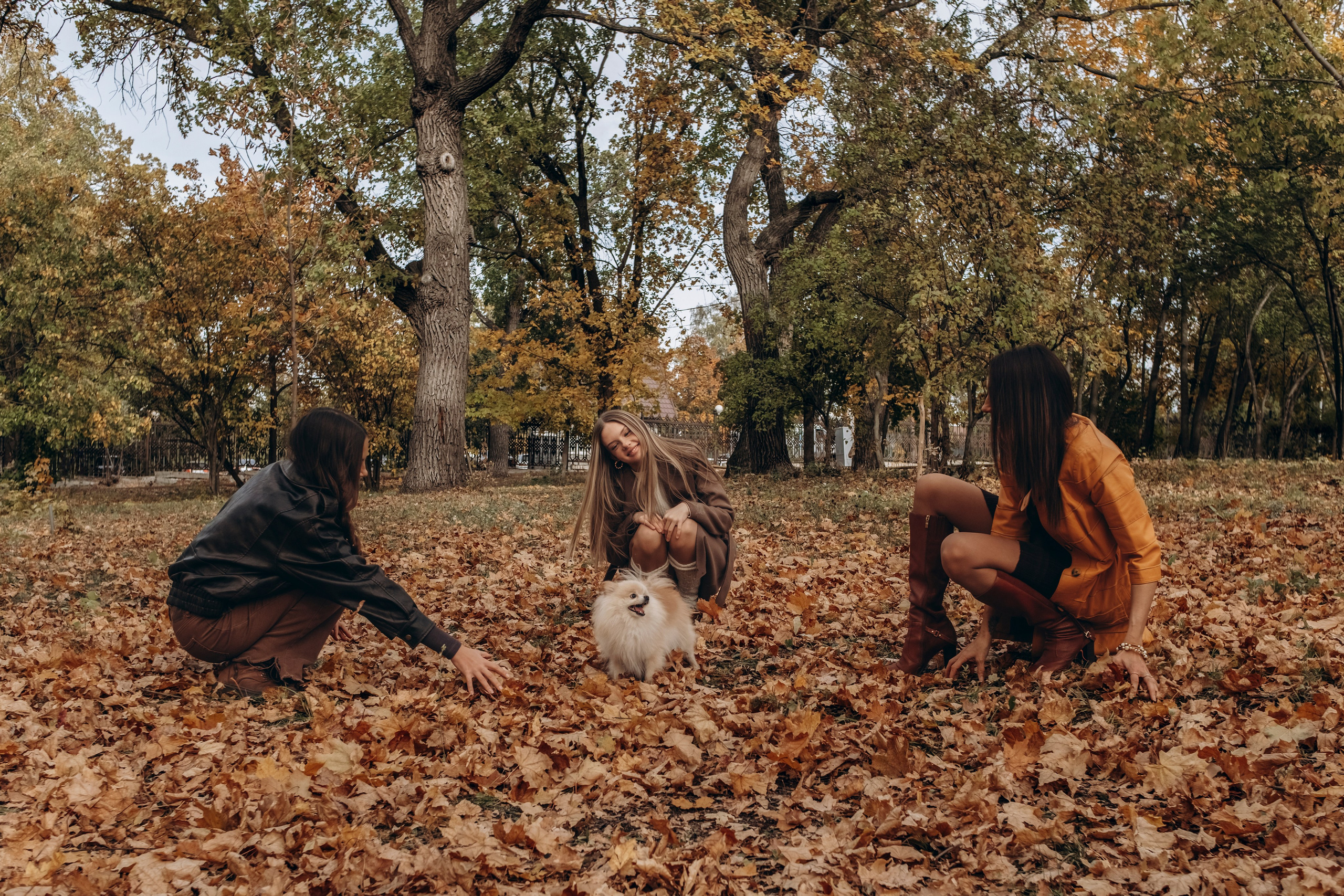 Загородный парк, осень. СЕМЕЙНЫЙ ФОТОГРАФ ЕЛЕНА МЕДВЕДЕВА САМАРА