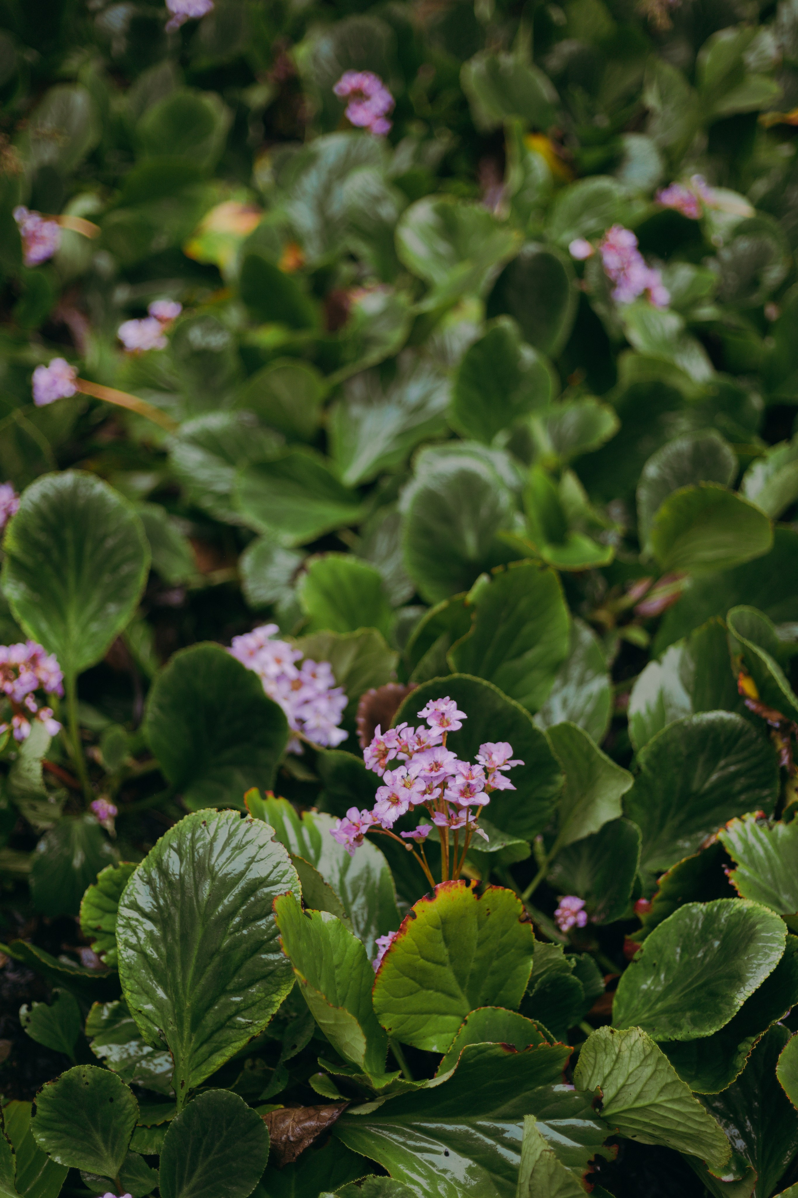 Стамбул. Профессиональный Фотограф во Владимире, в Москве и в Суздале — Полина Романычева