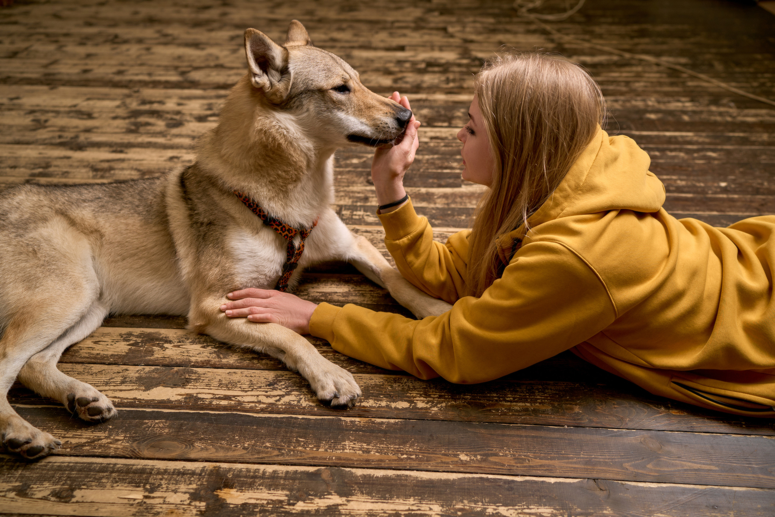 Кичи и Аля. Ваш фотограф в Москве Дарья Шорикова