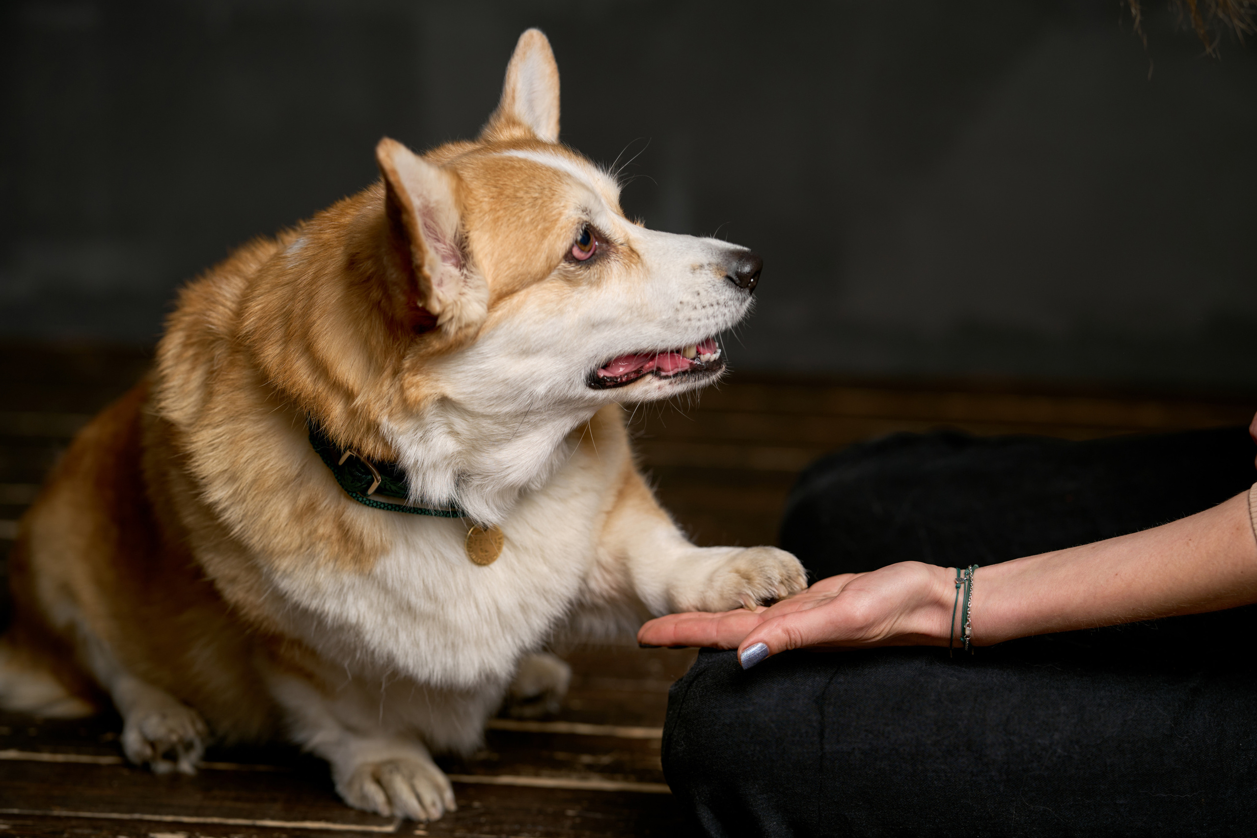 Герда и Таня. Ваш фотограф в Москве Дарья Шорикова