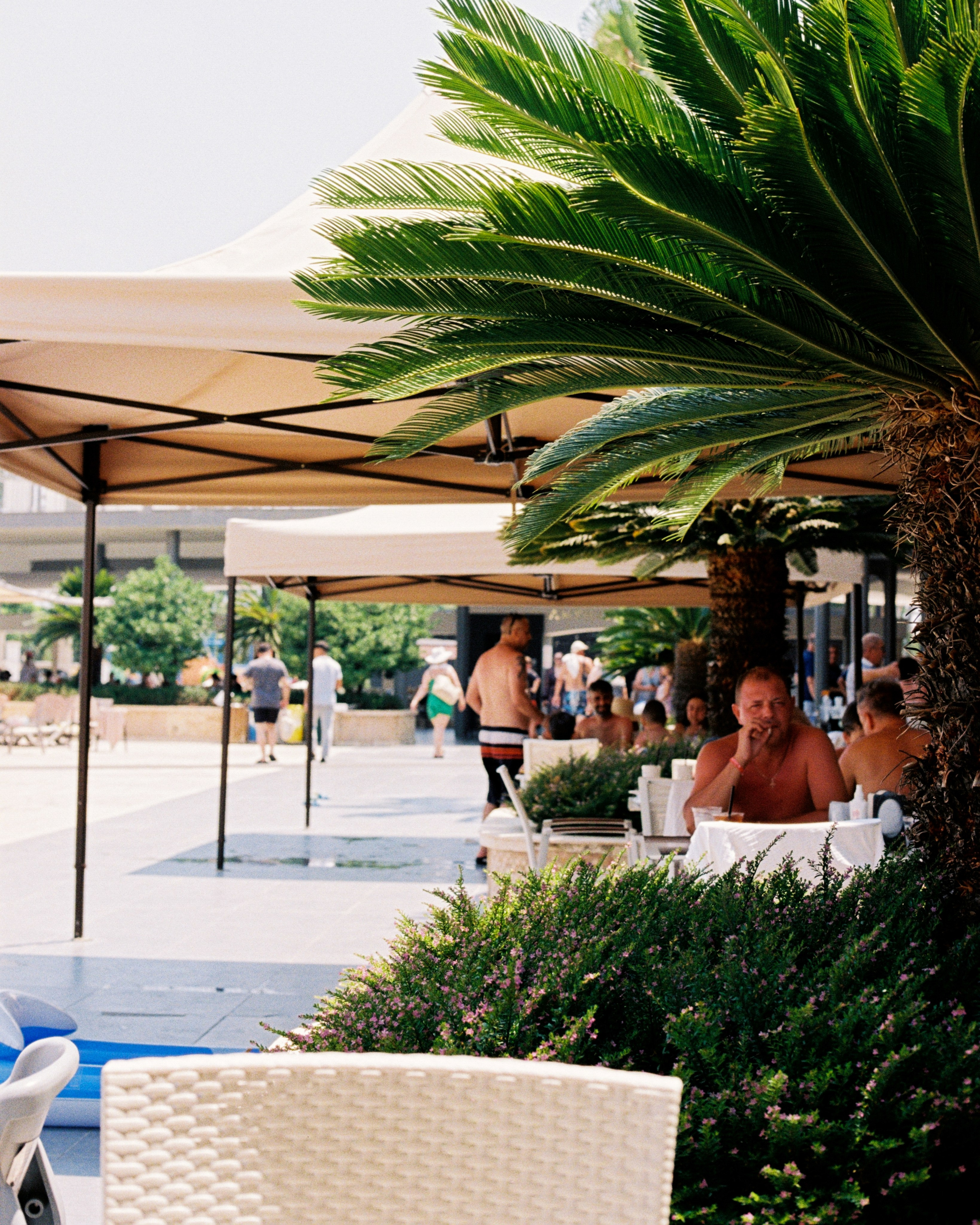 Turkey. Kirill Shashkov