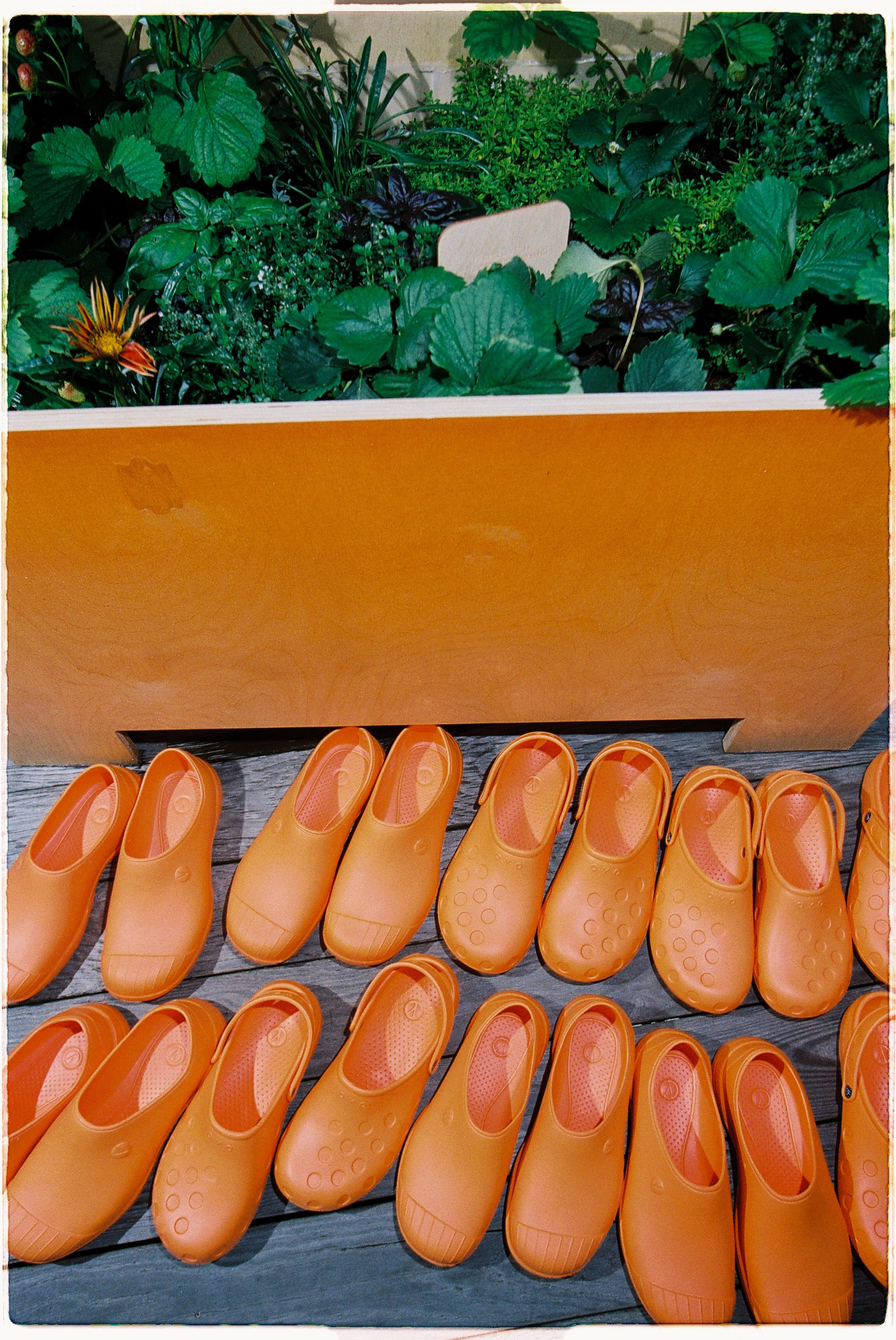 GARAGE РОКЕТ Клумб. Илья Симонов фотограф москва