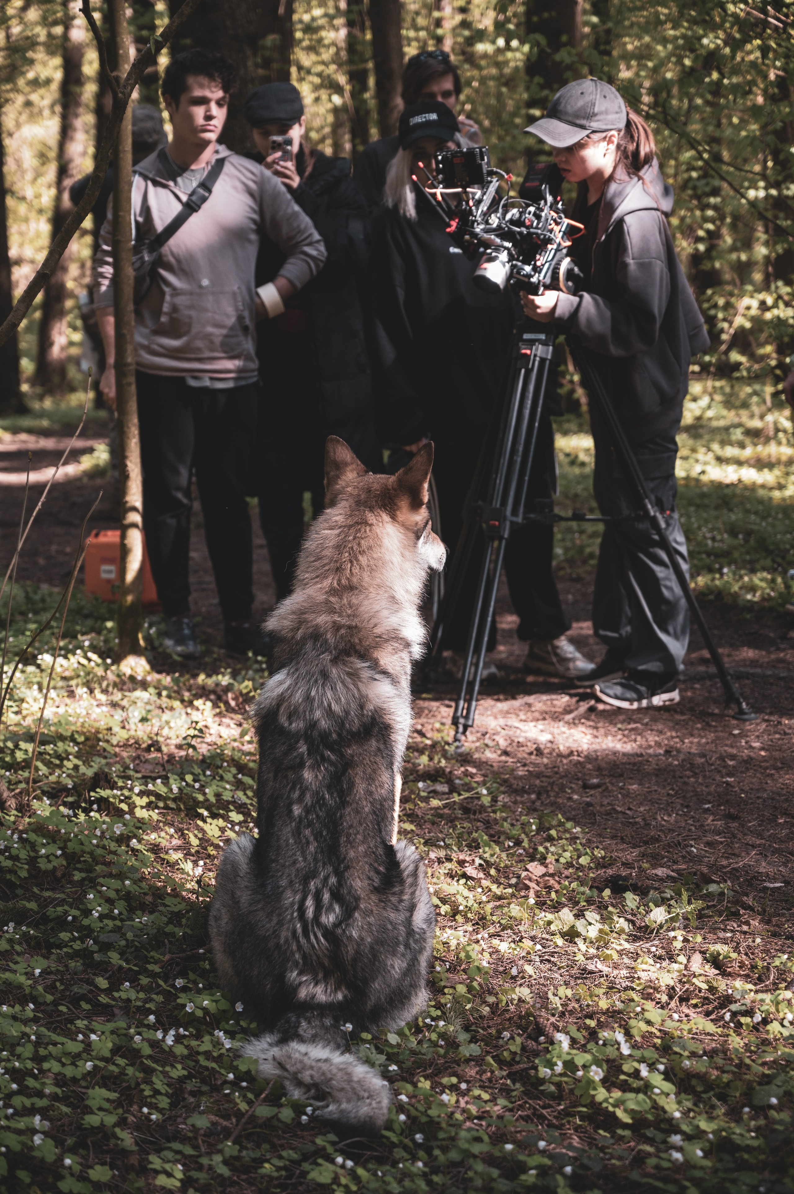Красная Ленточка. Фотограф Мария