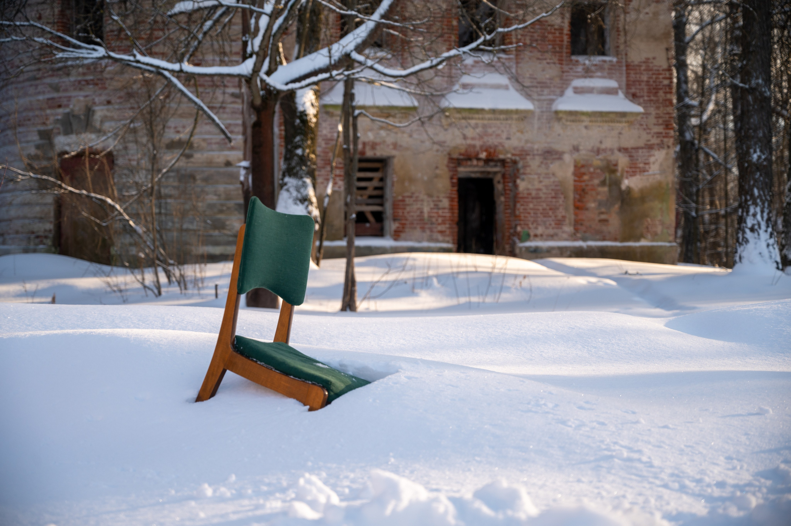 Донор. Фотограф Мария