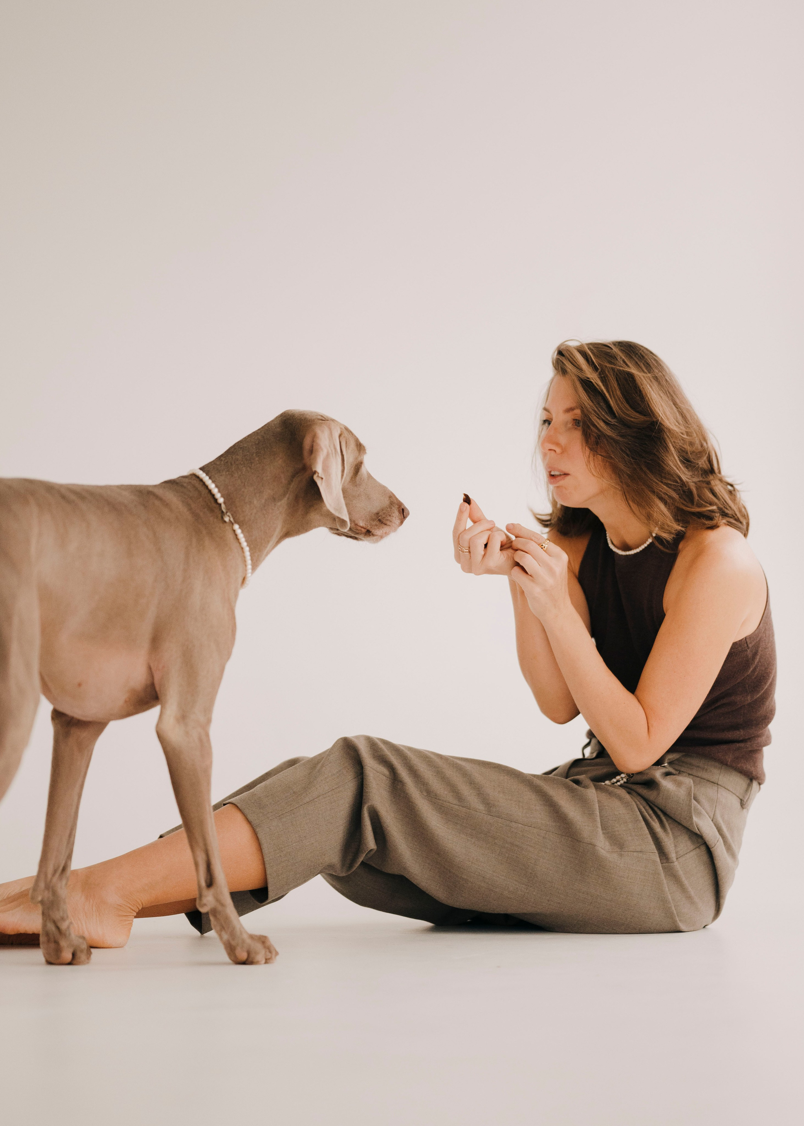 Фани. Фотограф- анималист Александра Матвеева