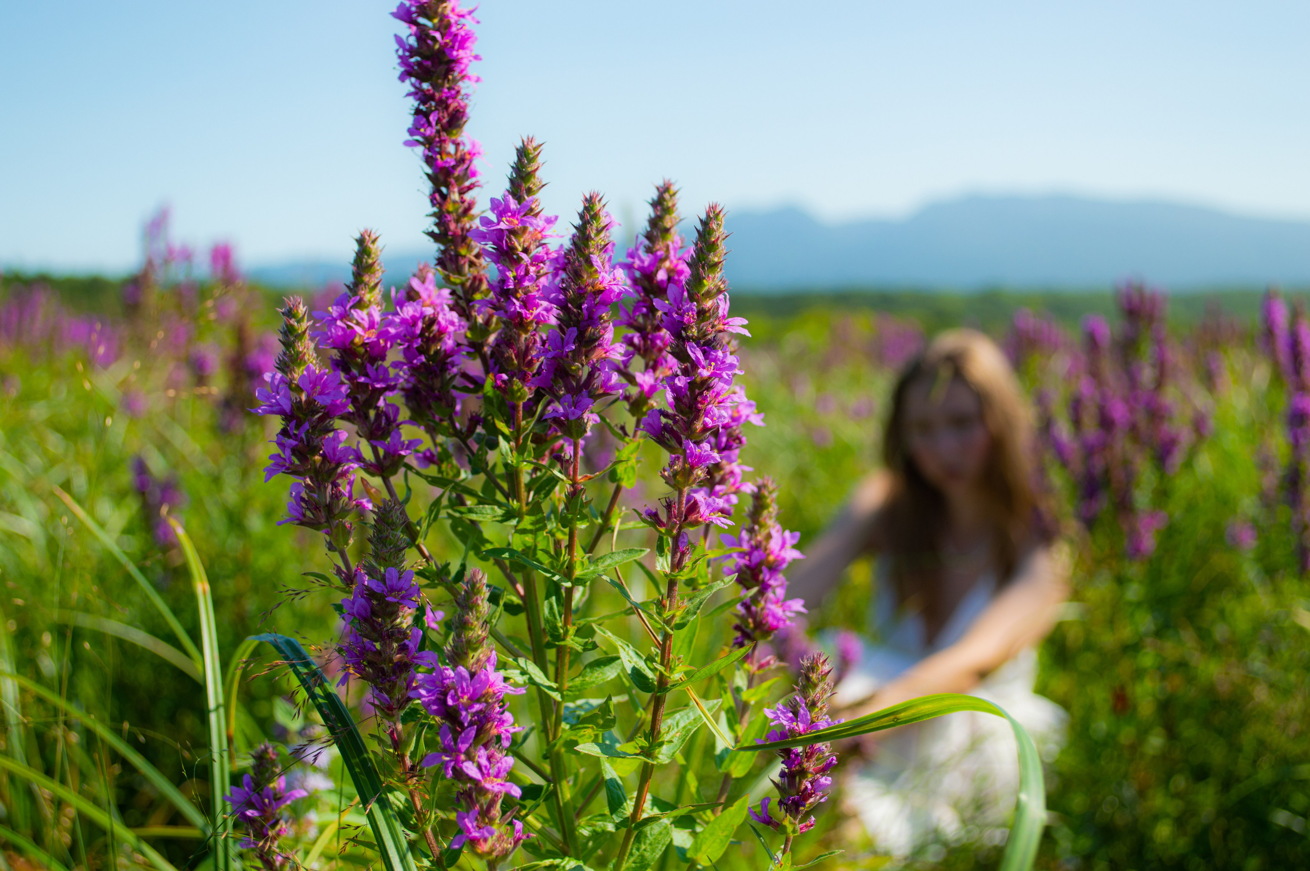 Alina. Свадебный фотограф в Южно-Сахалинске Валерий Харченко