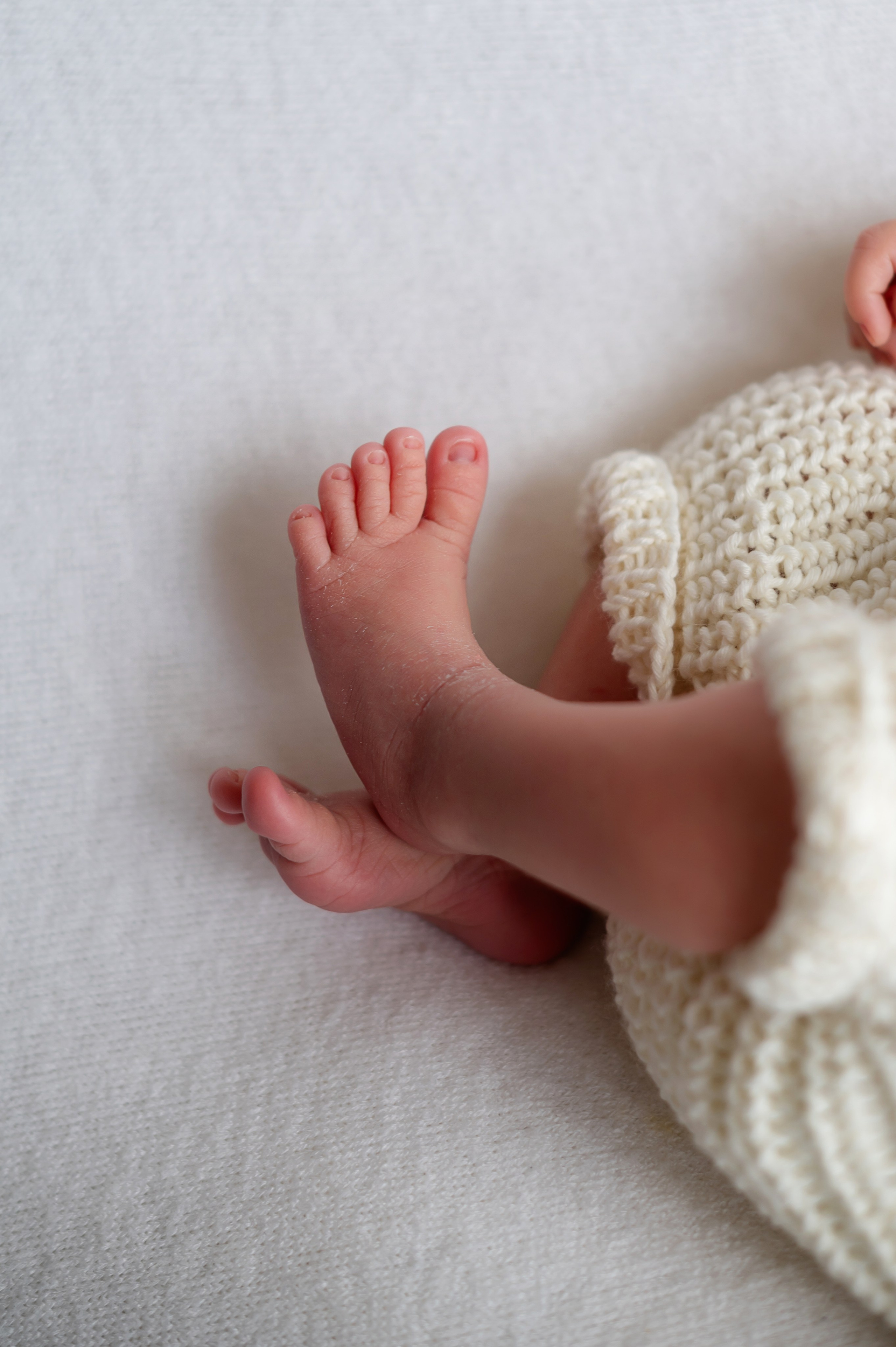 Теона 8 дней (Пакет Комфорт). Фотограф новорожденных Елена Панова