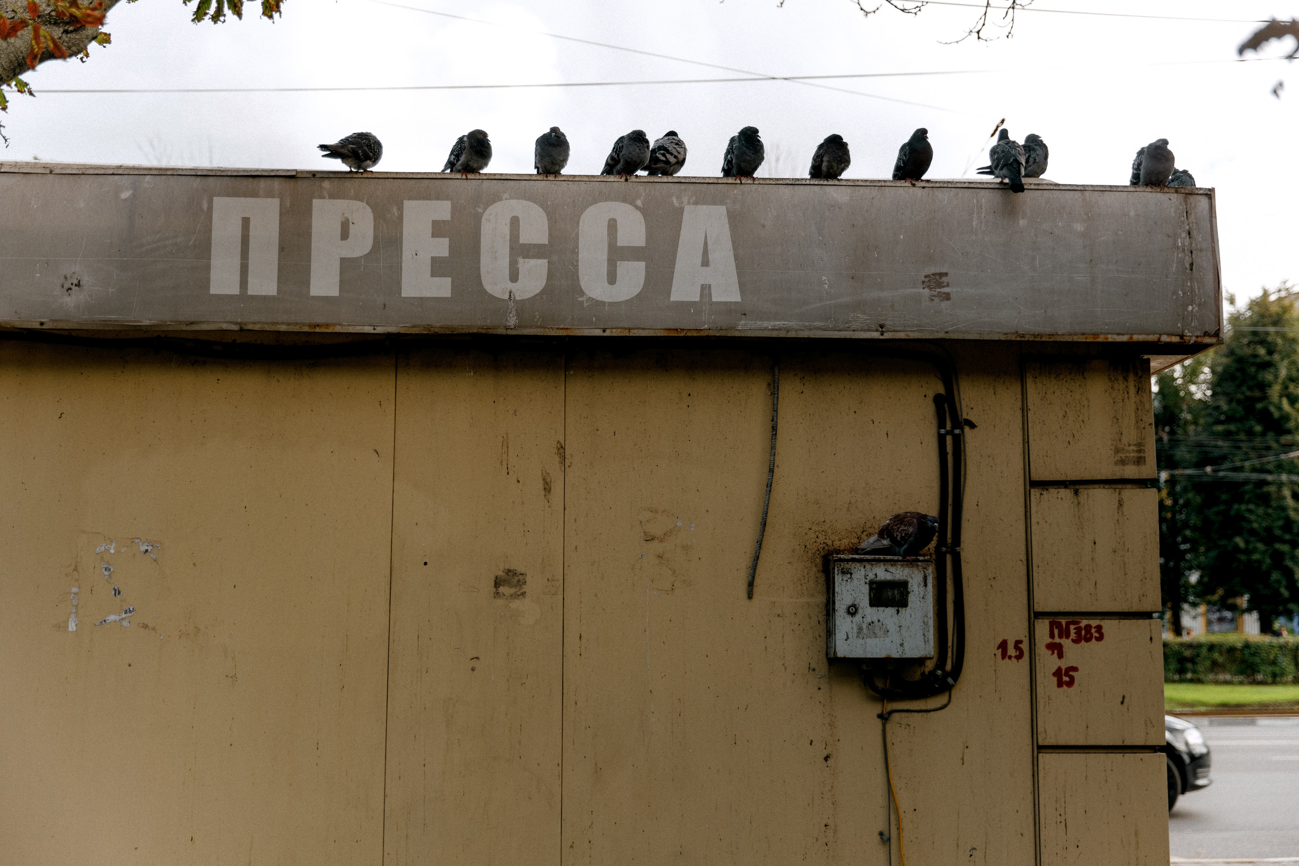 Три штыка. Свадебный и семейный фотограф в Туле и области Маша Костина