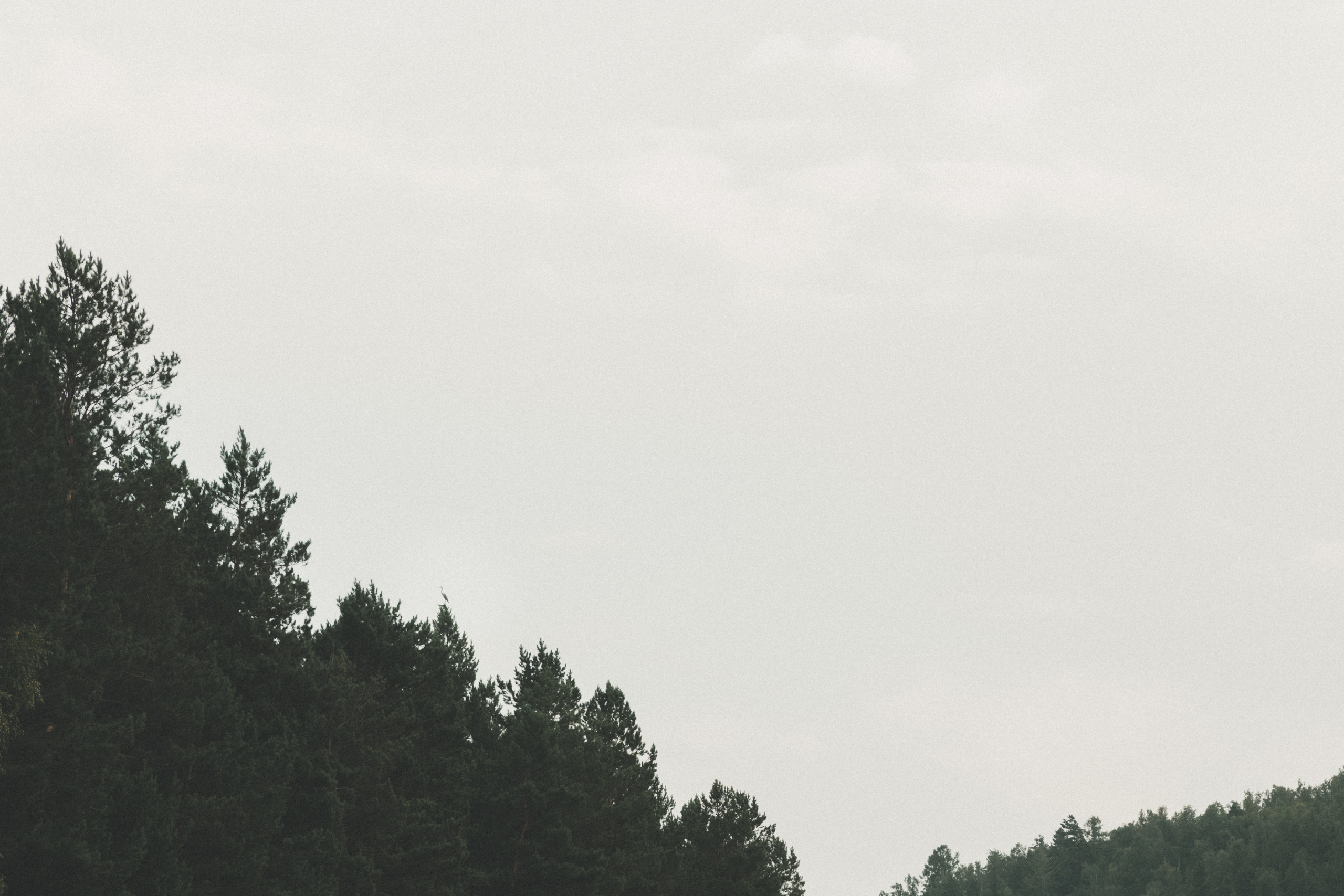 Наталия и Александр. Семейный и свадебный фотограф Лилия Матонина | Ангарск, Иркутск, Усолье-Сибирское, Байкал (Листвянка, Ольхон), Иркутская область