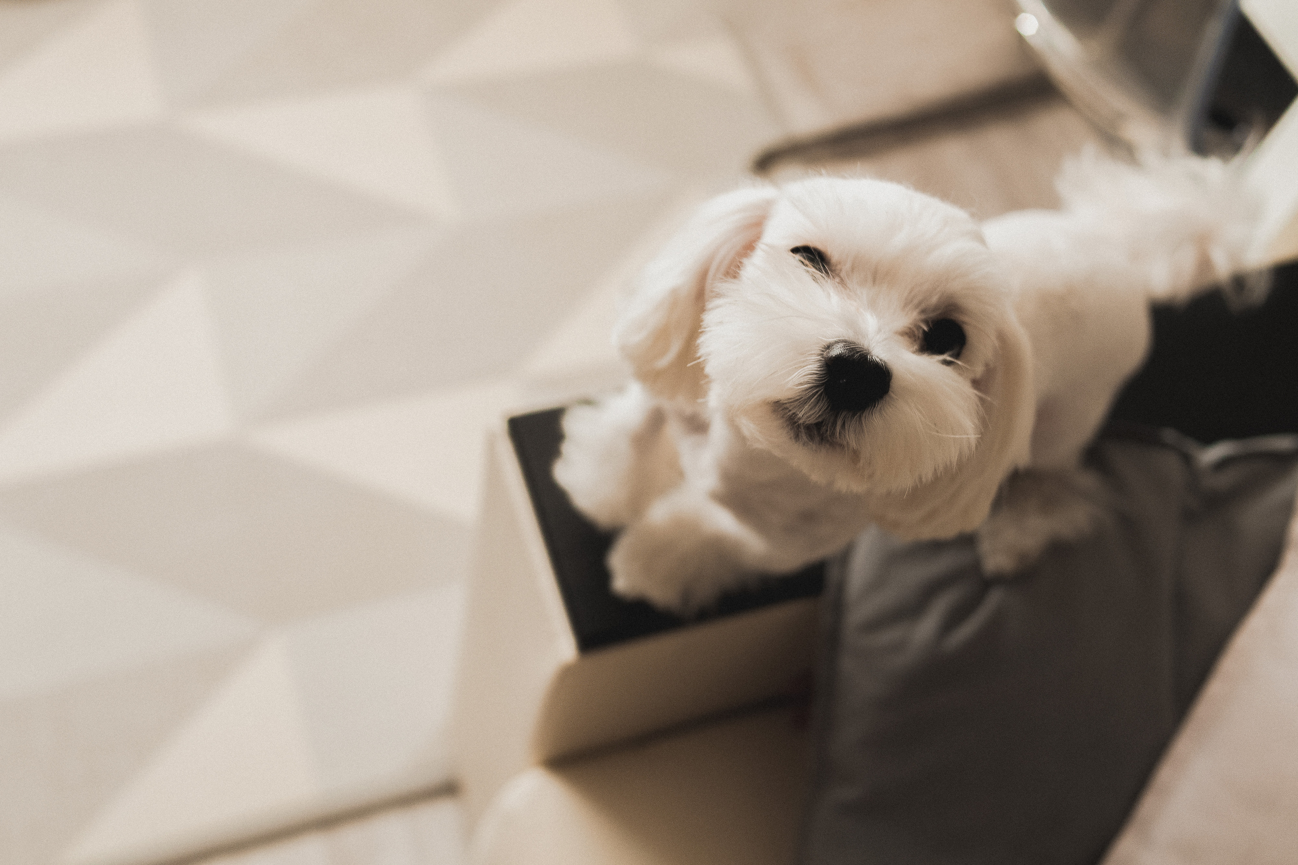 Рождество в кругу семьи. Семейный и свадебный фотограф Лилия Матонина | Ангарск, Иркутск, Усолье-Сибирское, Байкал (Листвянка, Ольхон), Иркутская область