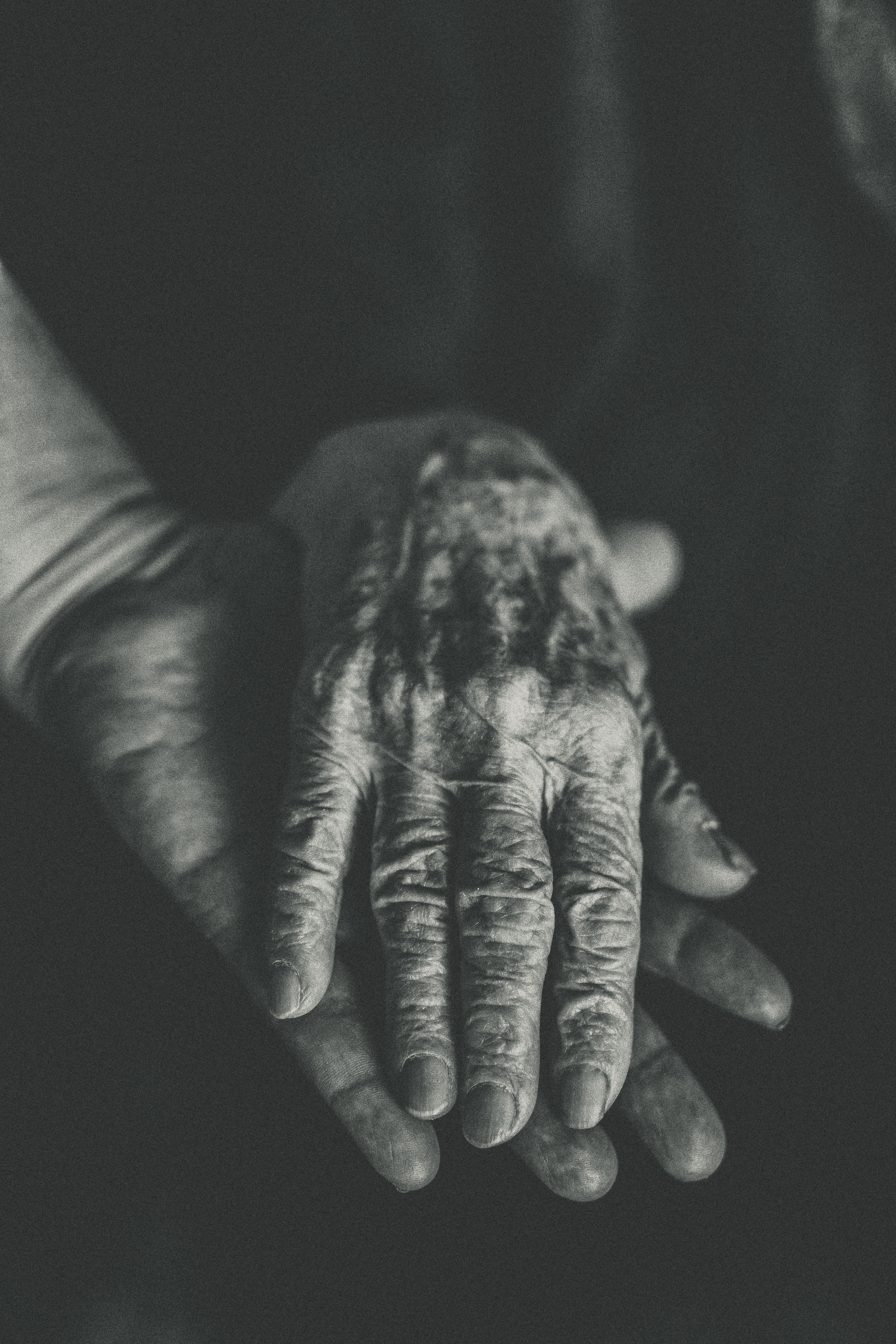 100 — много или мало?. Семейный и свадебный фотограф Лилия Матонина | Ангарск, Иркутск, Усолье-Сибирское, Байкал (Листвянка, Ольхон), Иркутская область