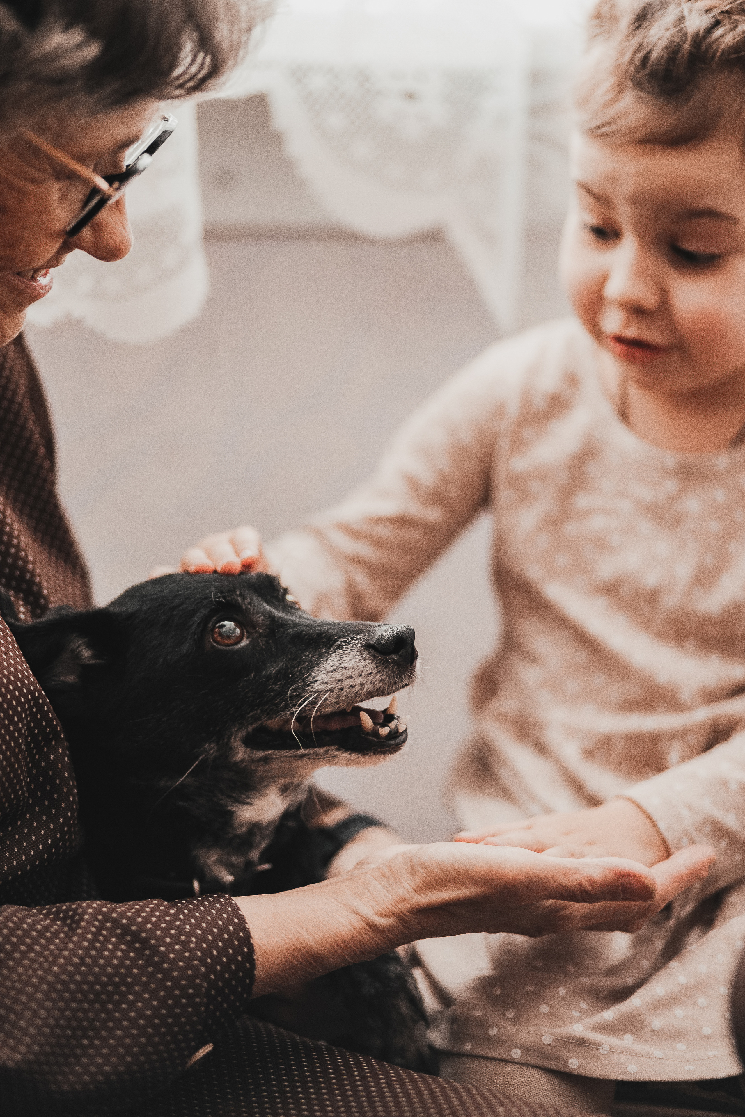 Семья Галины Петровны. Семейный и свадебный фотограф Лилия Матонина | Ангарск, Иркутск, Усолье-Сибирское, Байкал (Листвянка, Ольхон), Иркутская область