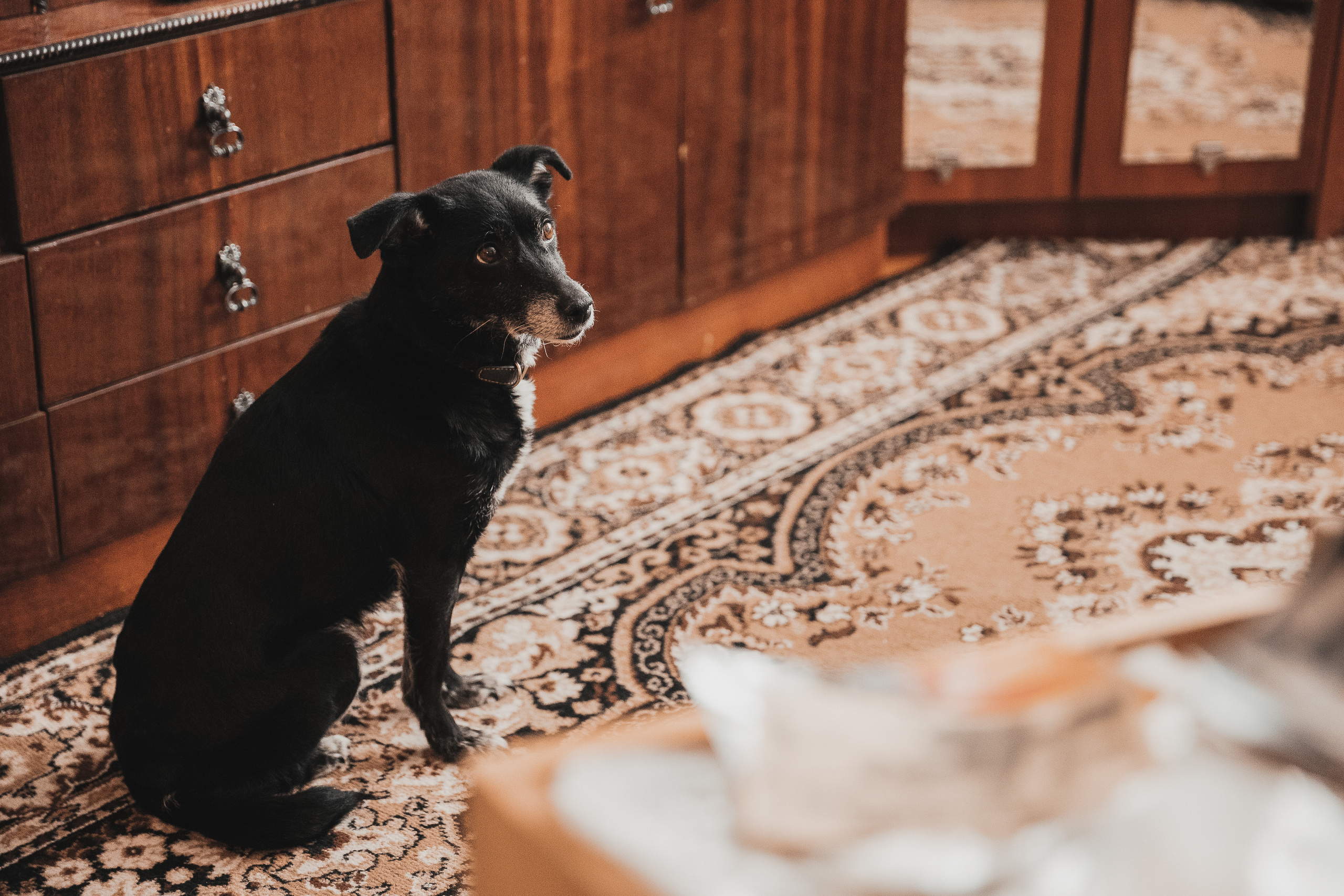 Семья Галины Петровны. Семейный и свадебный фотограф Лилия Матонина | Ангарск, Иркутск, Усолье-Сибирское, Байкал (Листвянка, Ольхон), Иркутская область