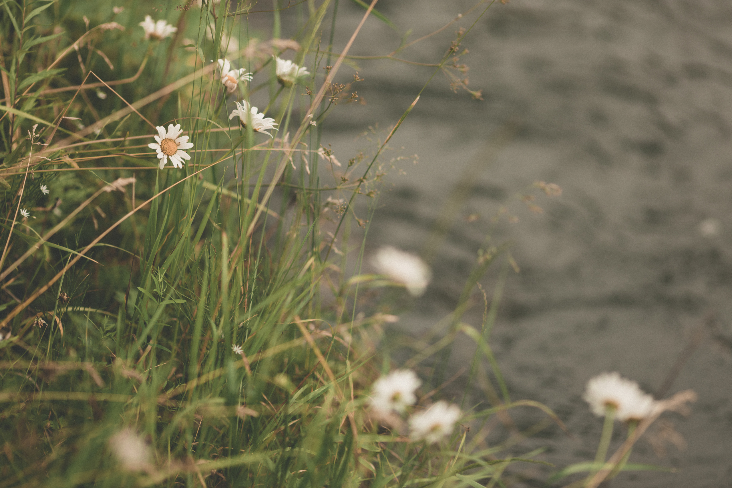 Мама и ее защитник. Семейный и свадебный фотограф Лилия Матонина | Ангарск, Иркутск, Усолье-Сибирское, Байкал (Листвянка, Ольхон), Иркутская область