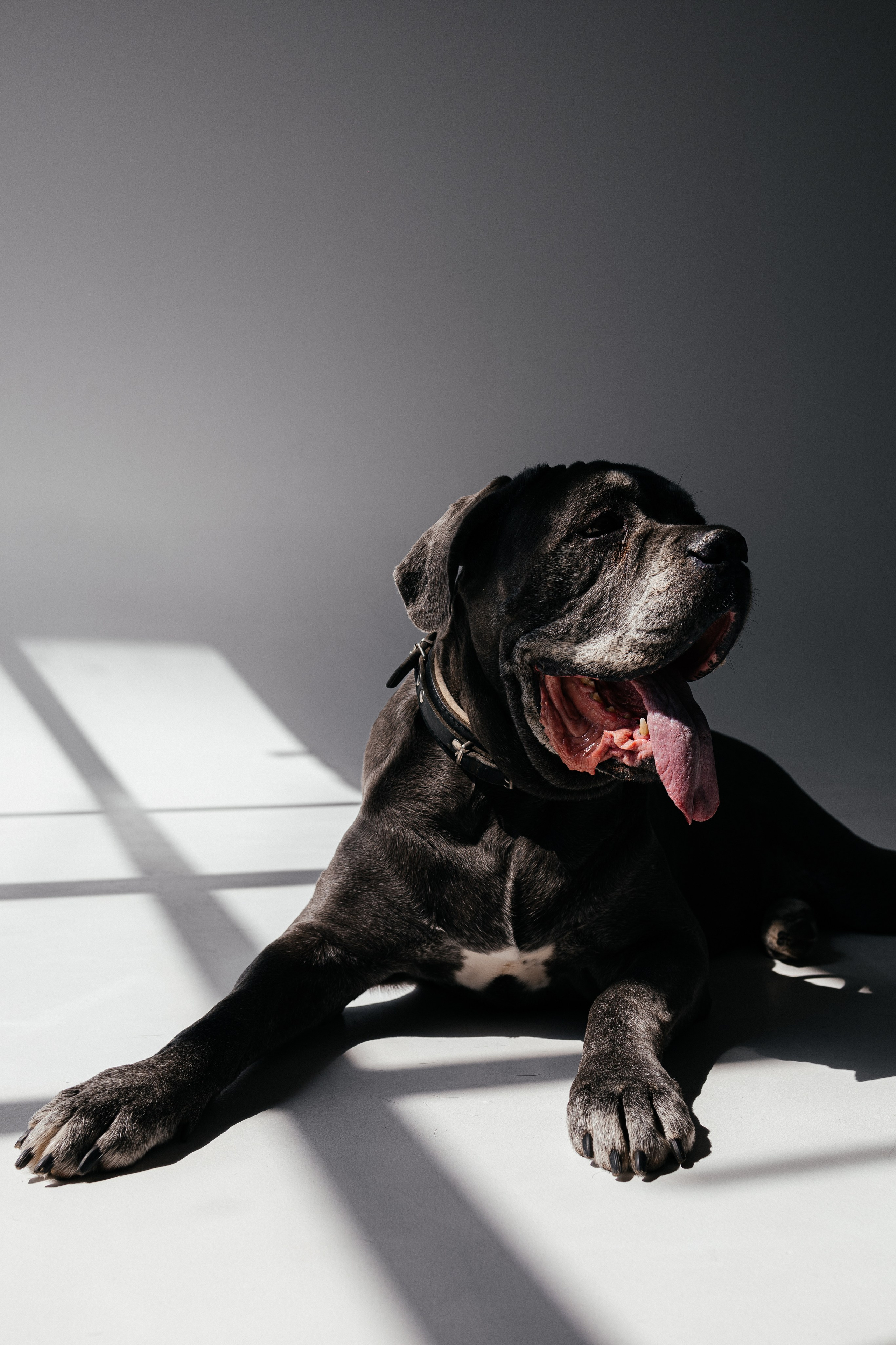 Кристина 18+. Фотограф в Краснодаре Лагунов Владимир