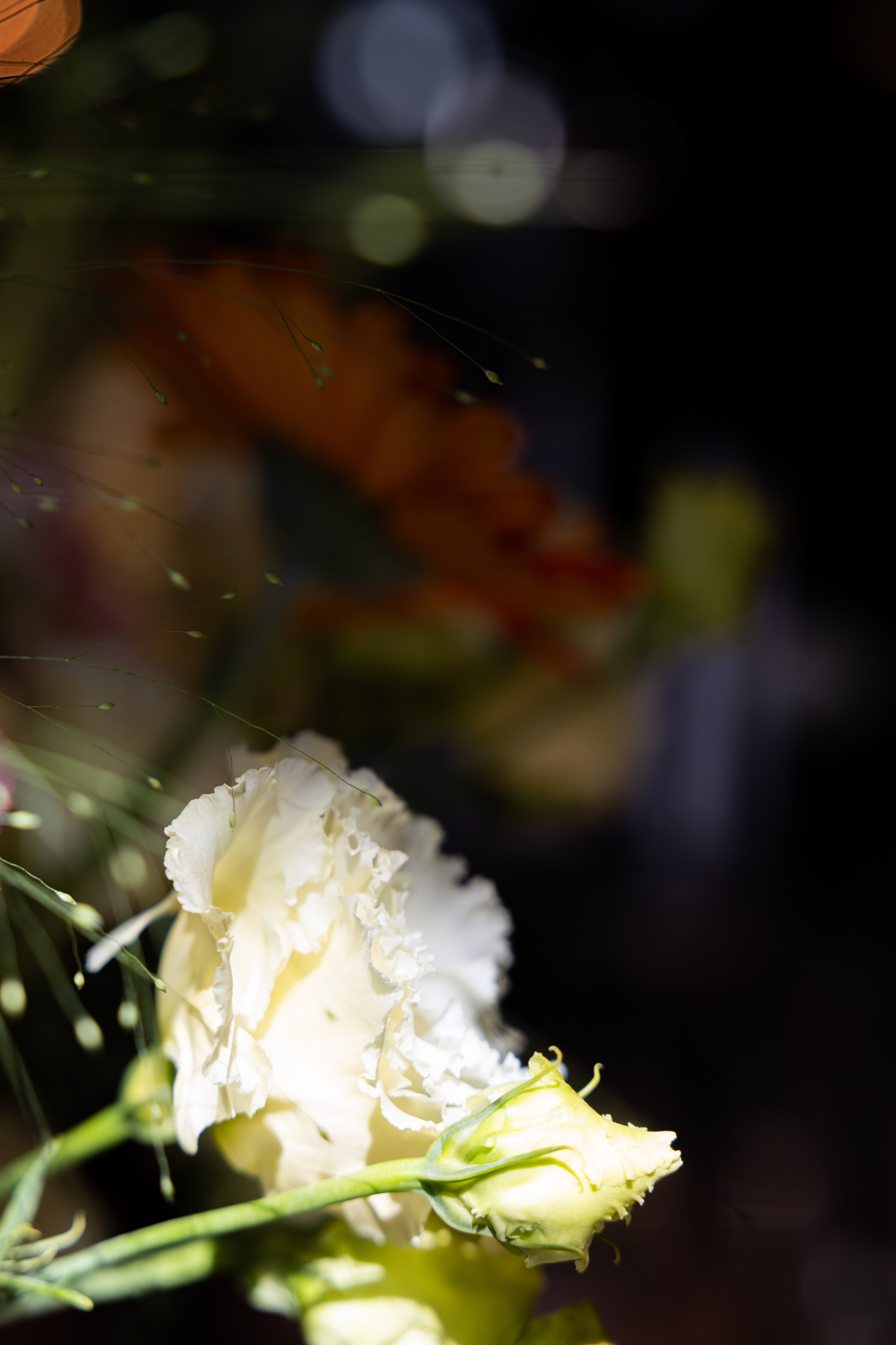 Gastrodvor THE LAB. Дженбаз Павел — фотограф в Ялте